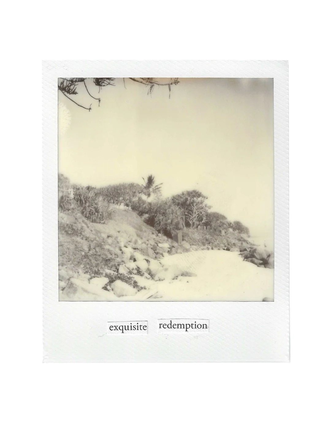 Exquisite_Redemption_archivalprintonhanamule_150_RuthHofer.JPG