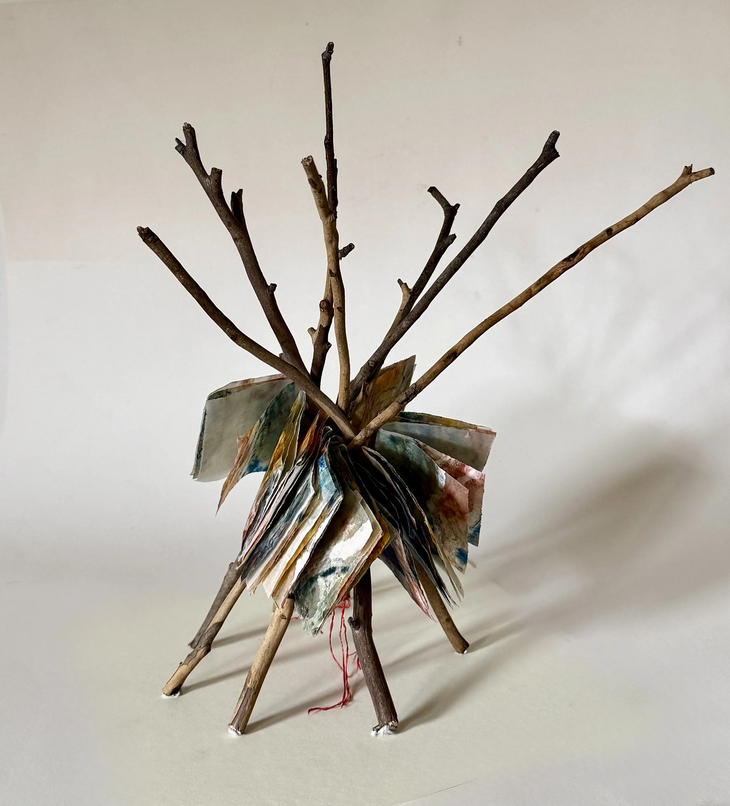 GhostTrees_550_Pigmentpaintingtwigs_20x20x40_RachelDun.jpg