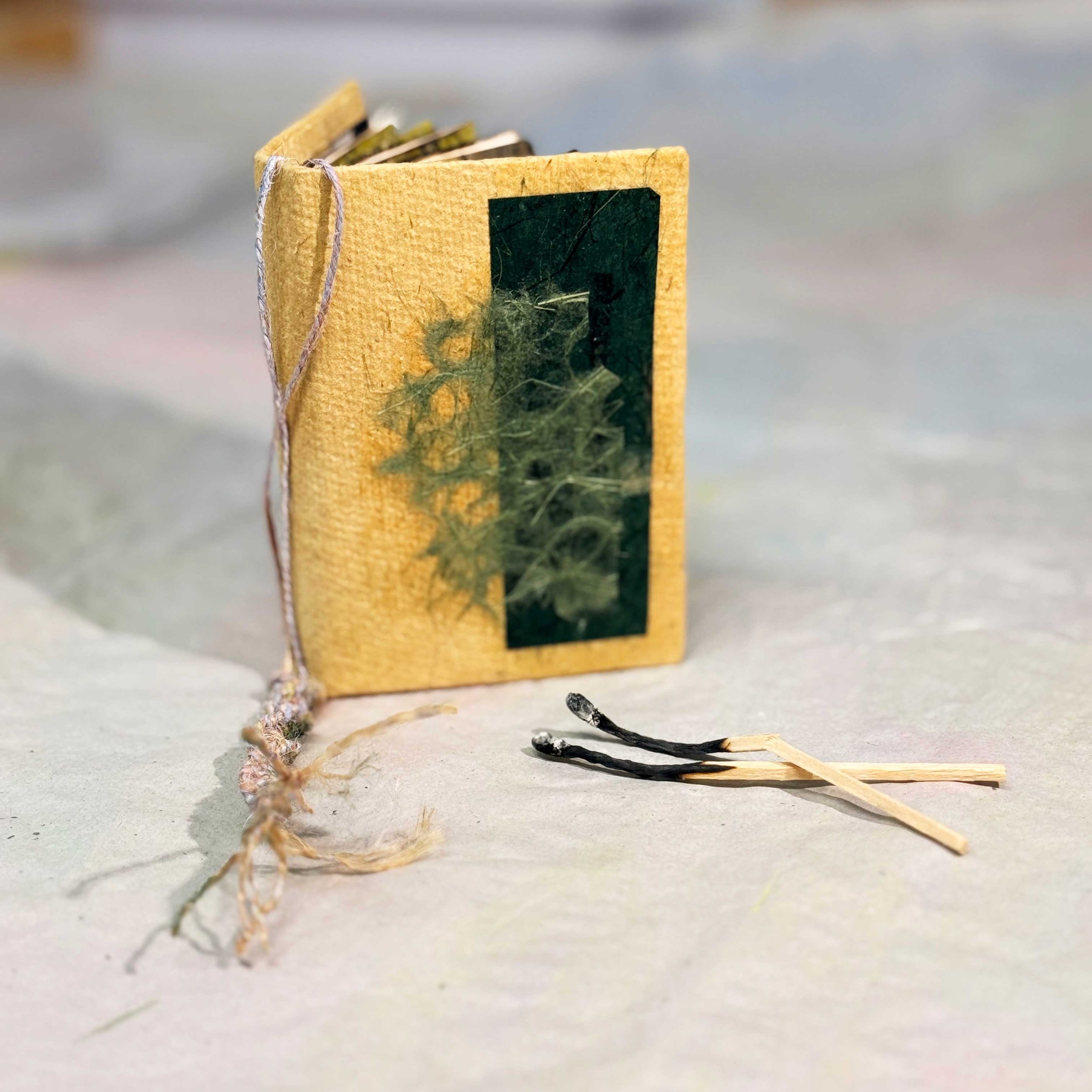 Stories-from-the-Forest---Matches-Not-Included_330_12x8x2_Bridie-Schmidt-1.jpg