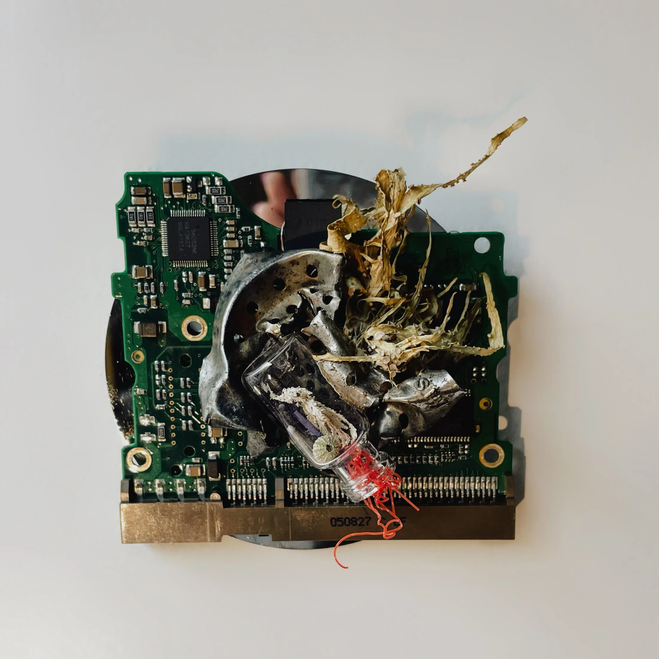 All the things we tried 2 - Nadia Uccello