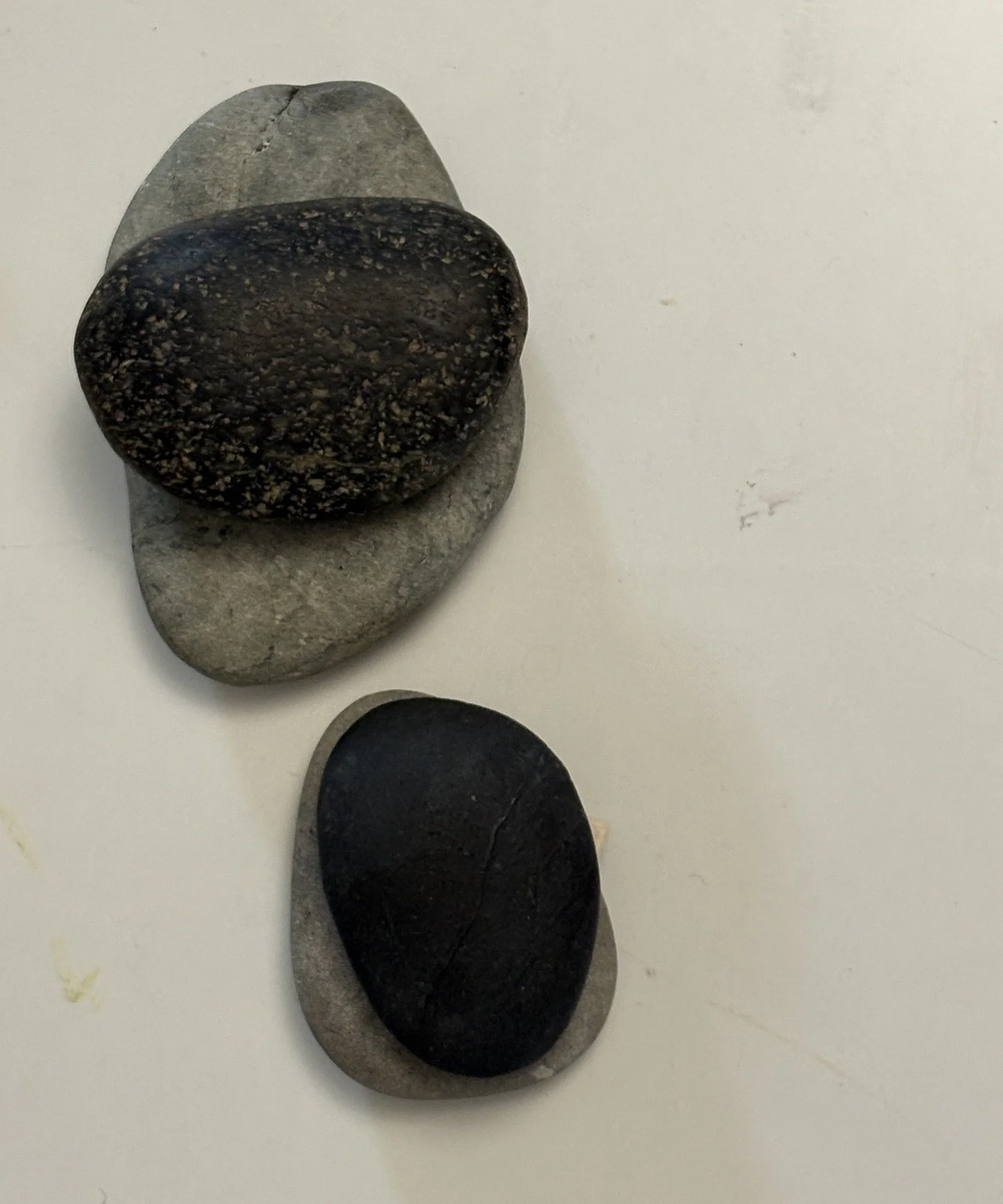 image1 (1).jpeg