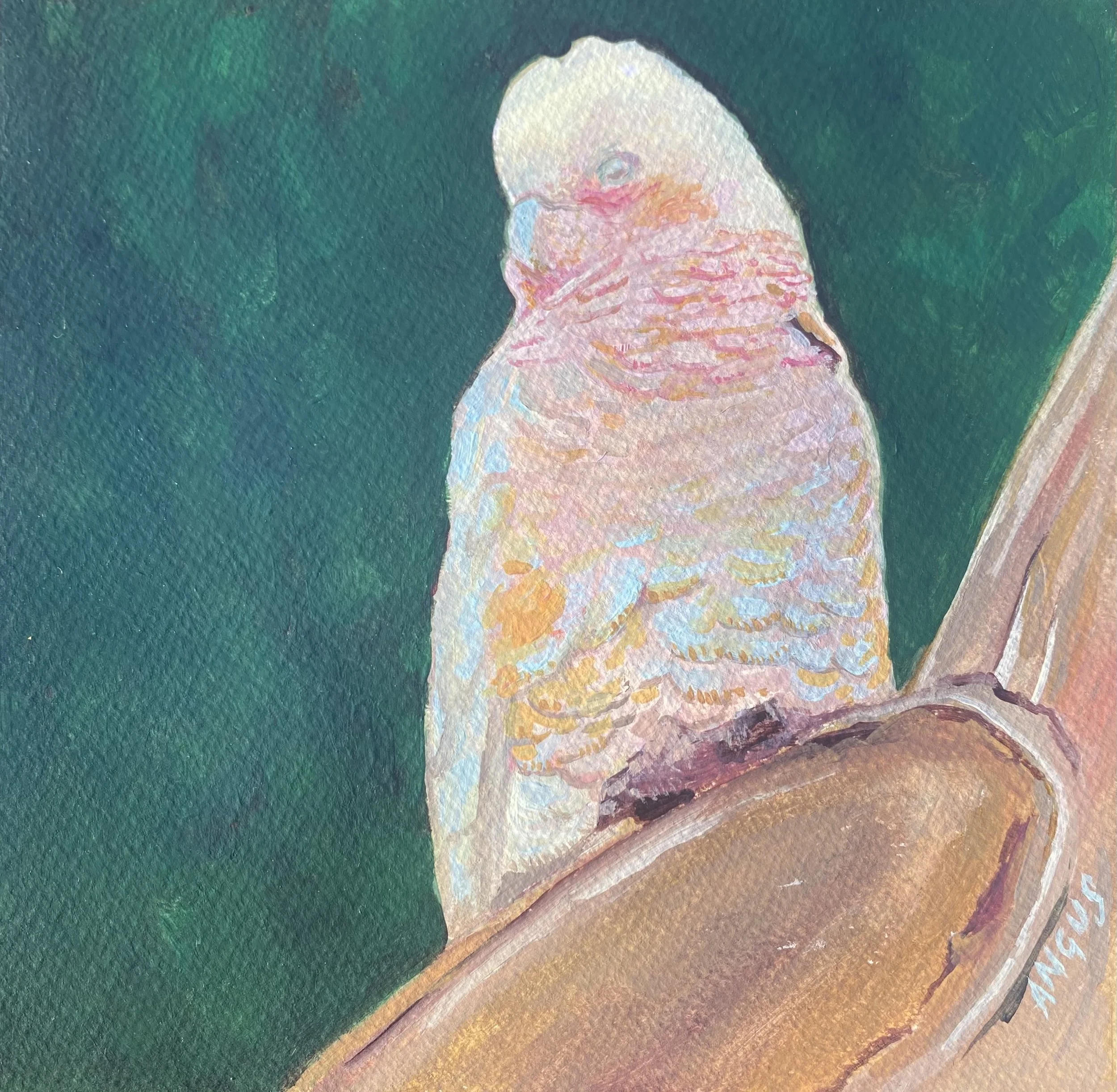 Hush_Acrylic on Paper_$275_Sarah Angus.jpeg