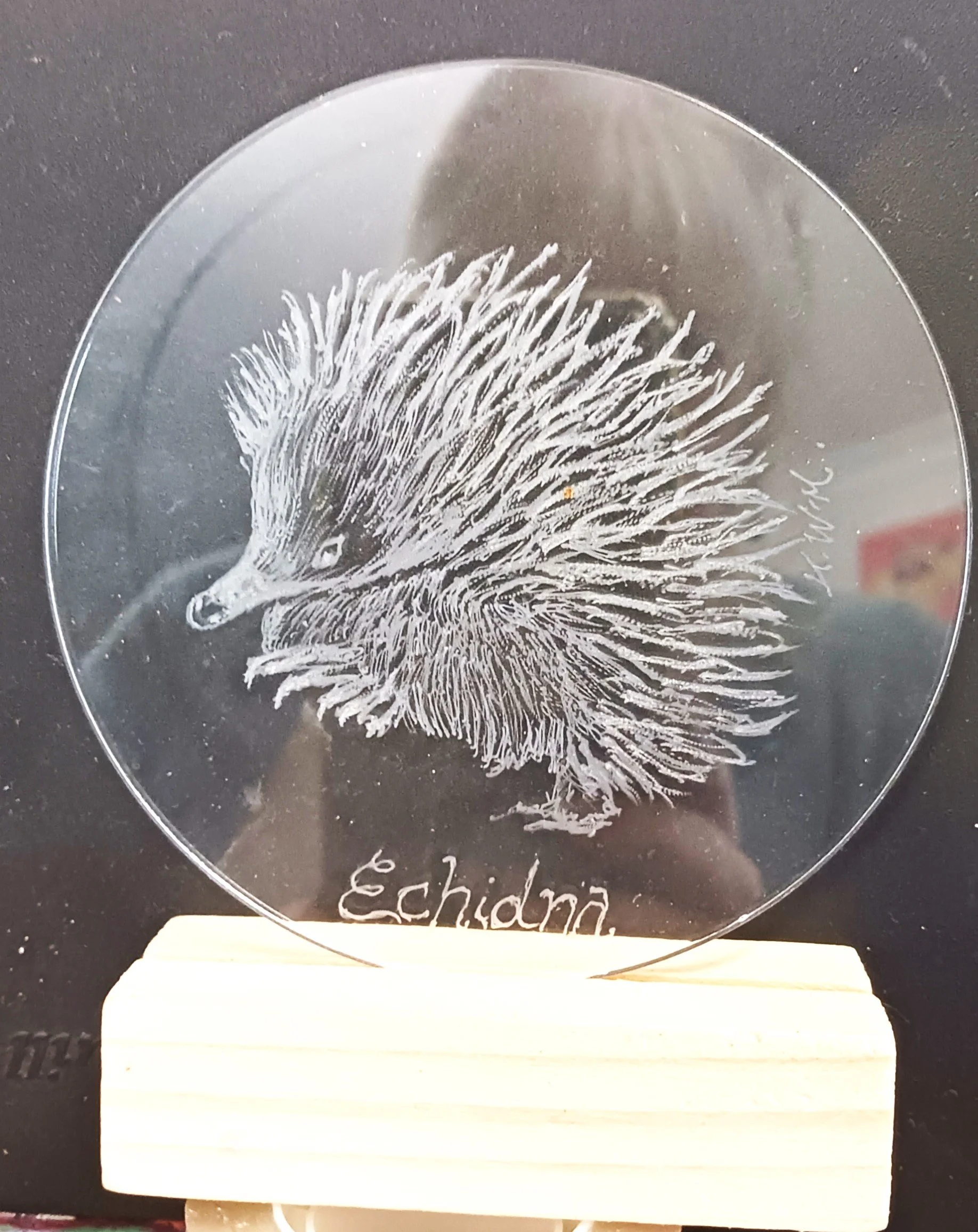 Echidna etching.jpg
