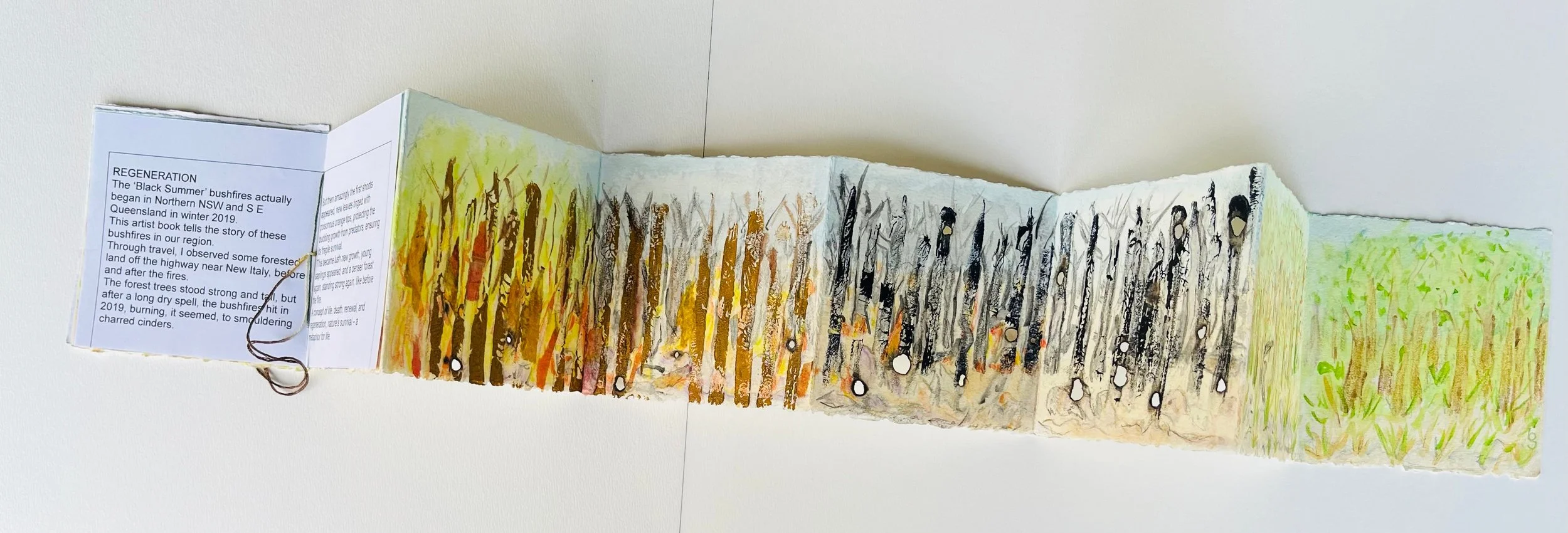 Regeneration_$100_mixed mediaAB_75.5x9.5x1cm_BonnyShore.jpeg