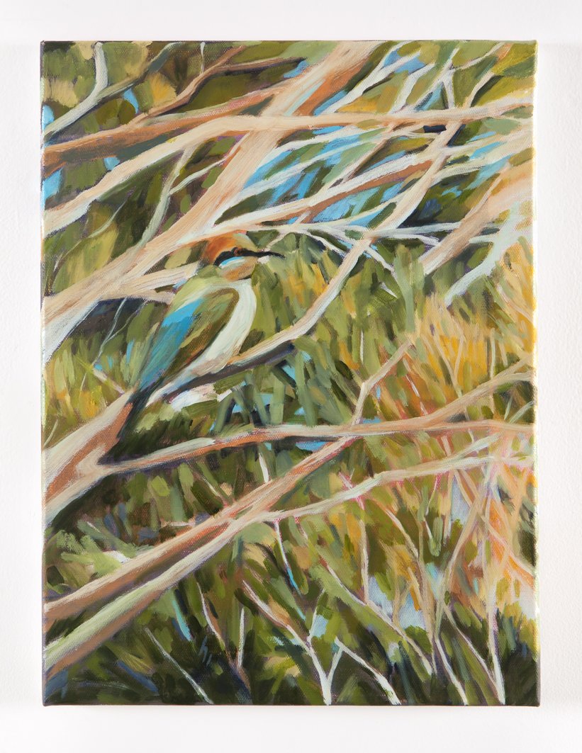 Rainbow Bee Eater - Jane Couttie