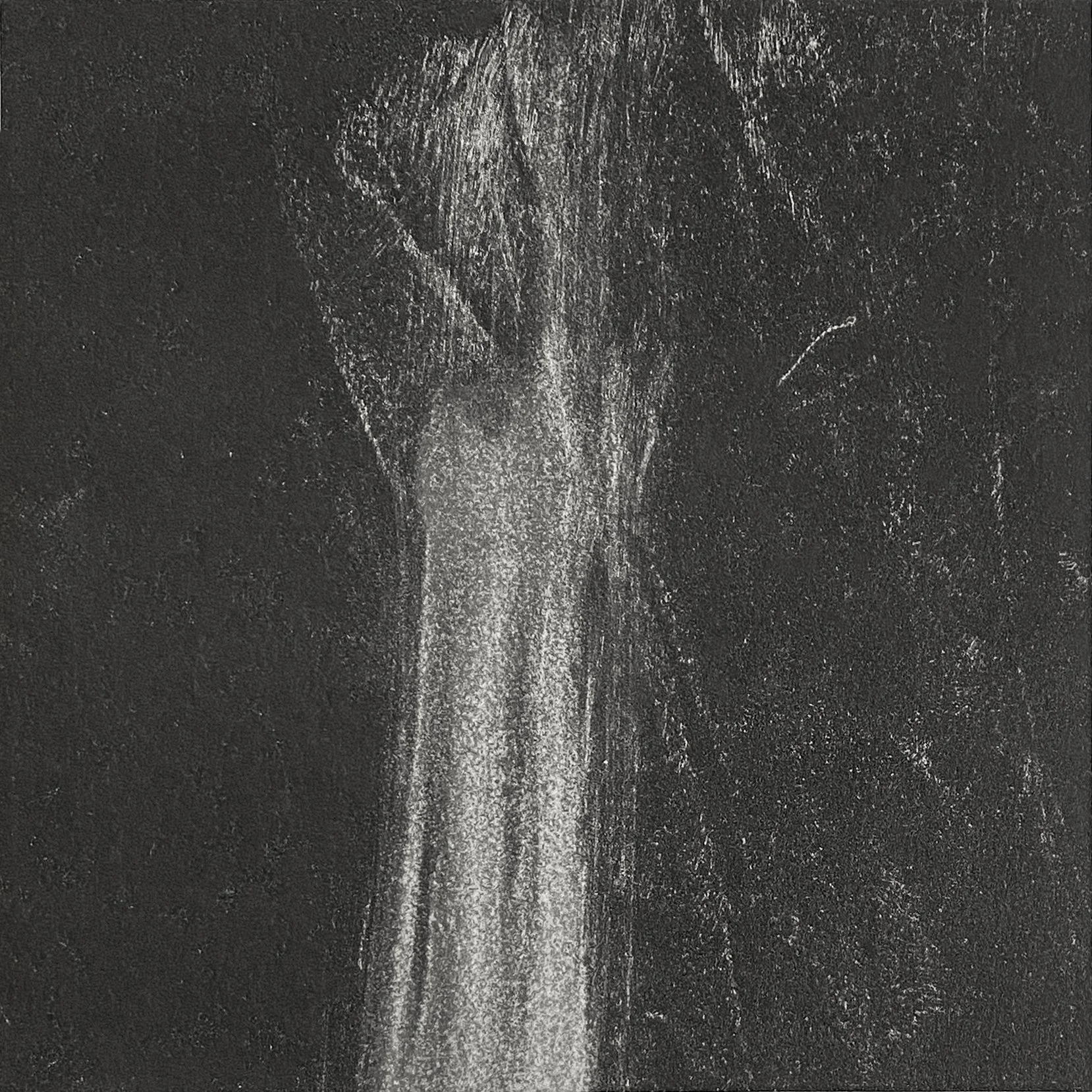 Apparition_monoprint_$100_Emily-SarahBoldeman.jpg