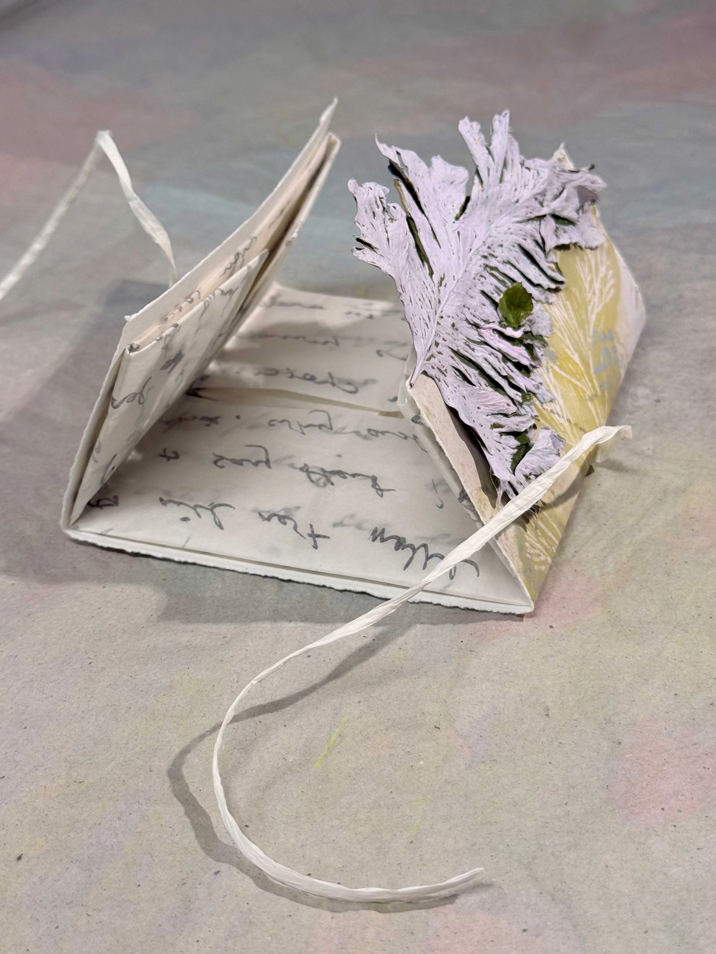 Stories-from-the-Forest---And-She-Never-Came-Back_390_12x14x4_Bridie-Schmidt-6.jpg