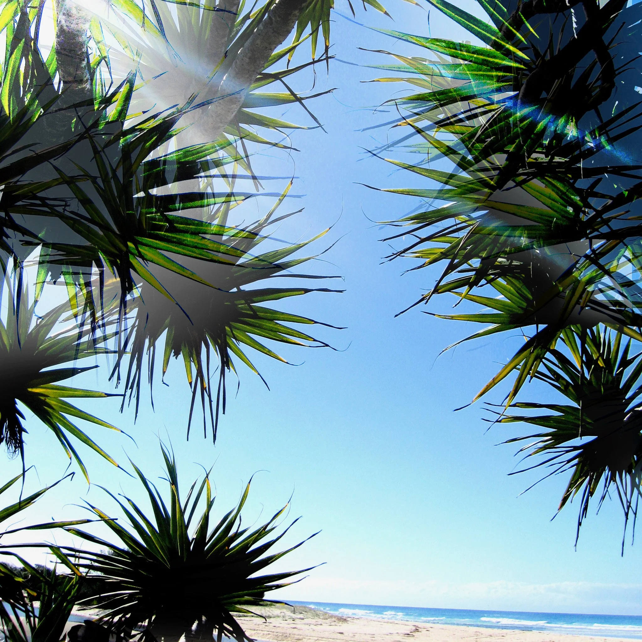 UnderTheShadeofThePandansTree_Photograph_120_michelleansoul.jpg