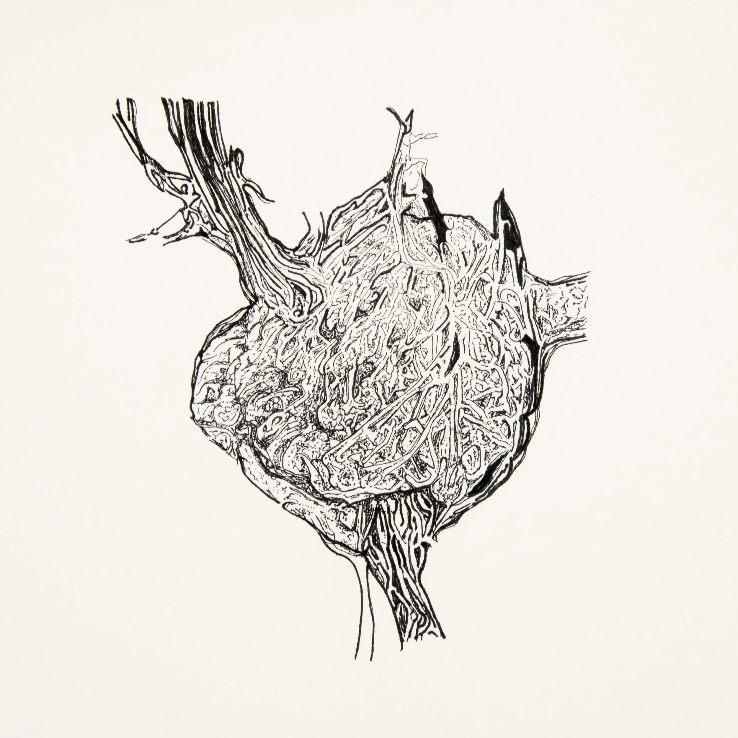 milln_georgi_Nociception_2025.jpg