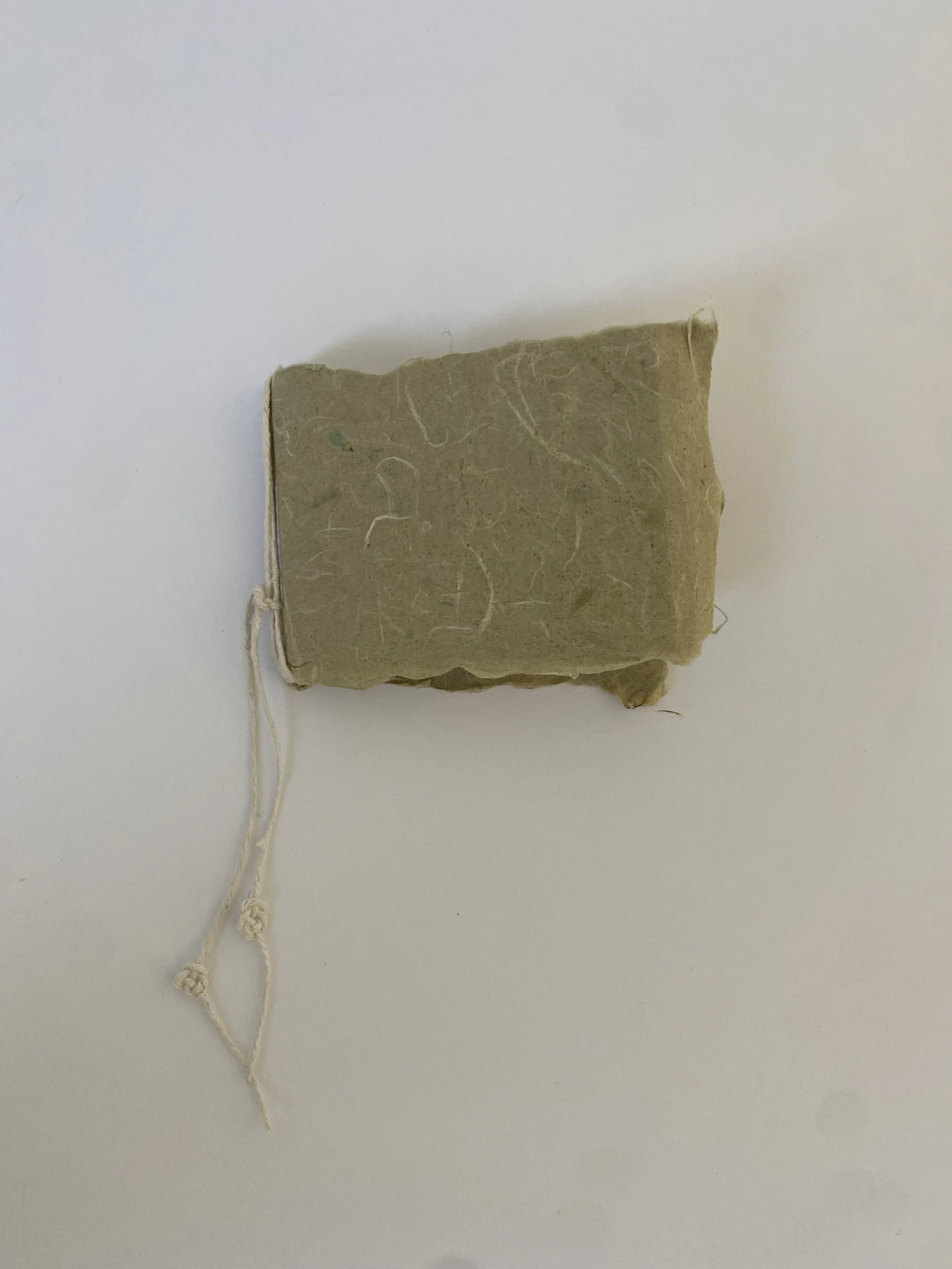 Untitled artist book #2 - Christine Cheung