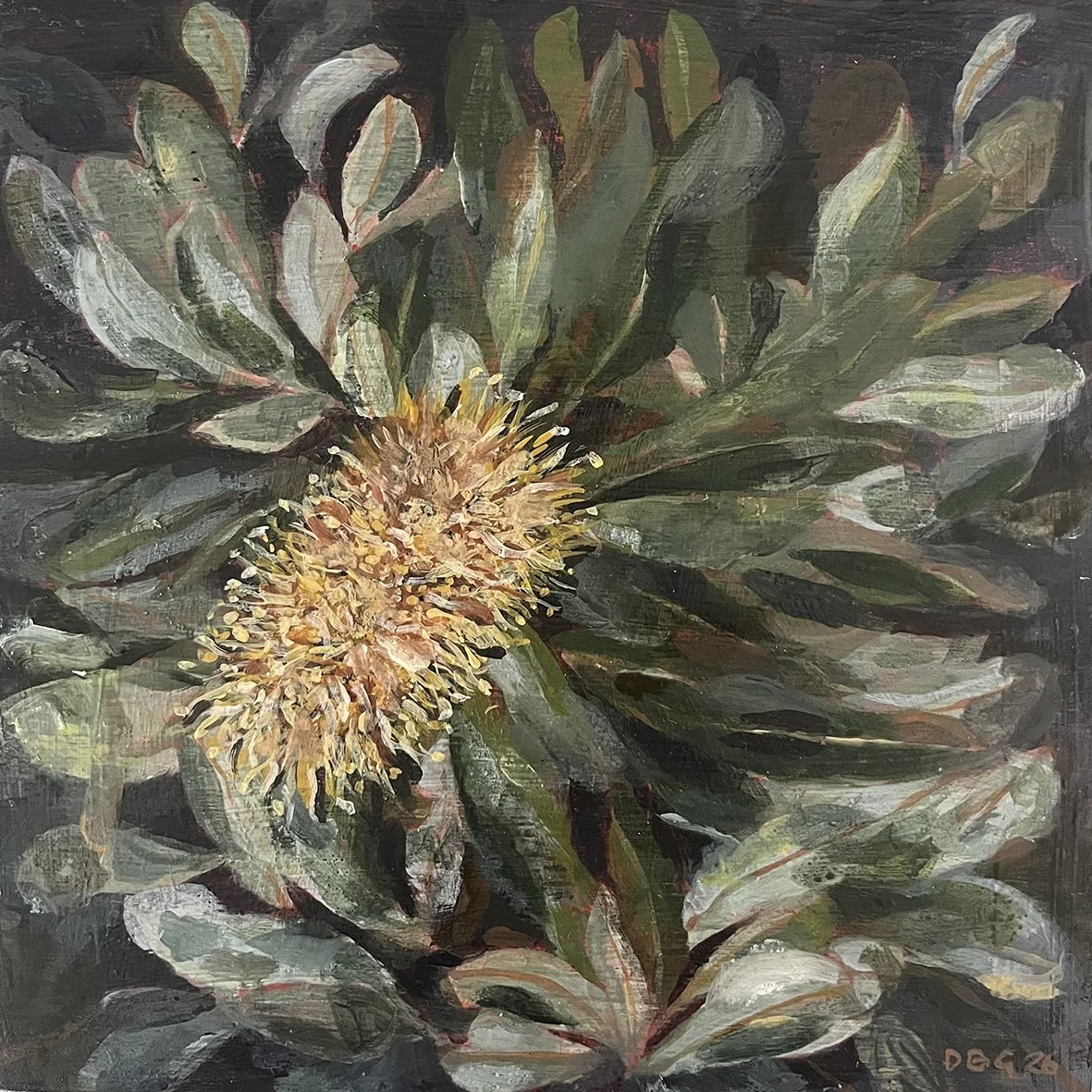 Coastal Banksia-Acrylic on marine ply-$200-Danielle Greenslade.jpg