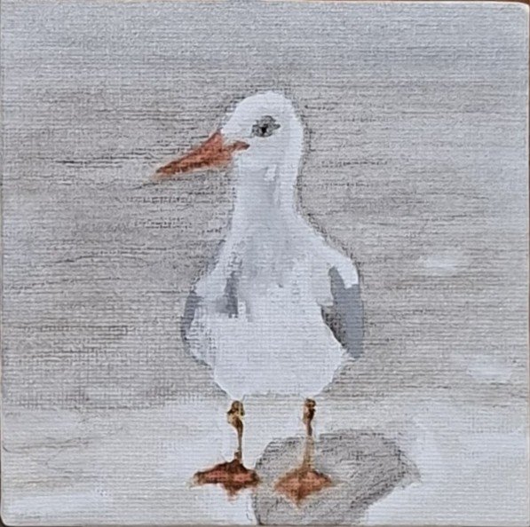 Not Your Average Byron Gull_Watercolour_$170_Vanessa Favetta.jpg
