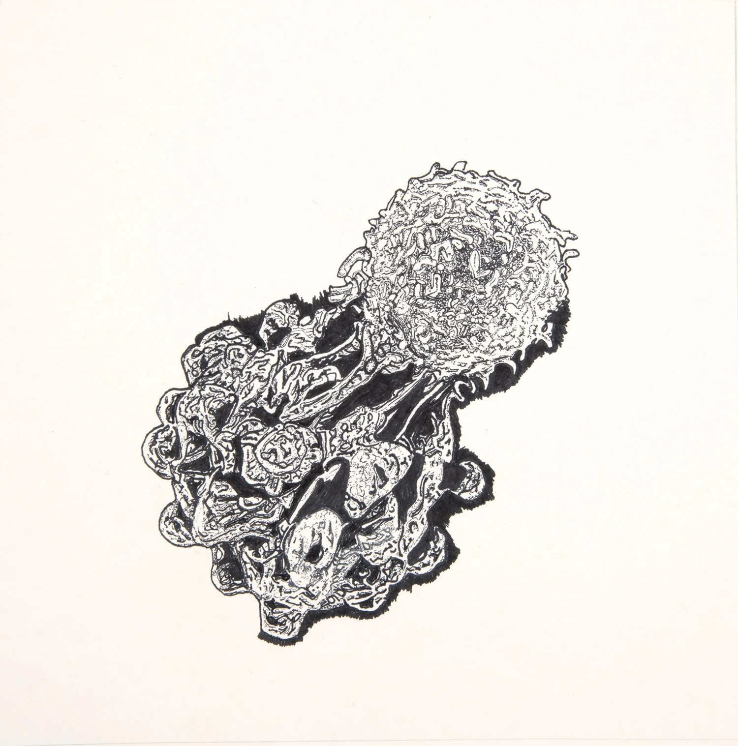 milln_georgi_ Cell attack_2025.jpg