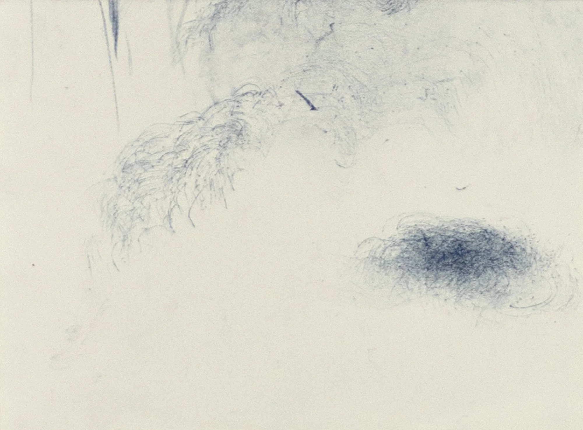 Transference 18(Glimmer)_Carbon on Paper_14x19cm_$165_Emily-Sarah Boldeman.jpg