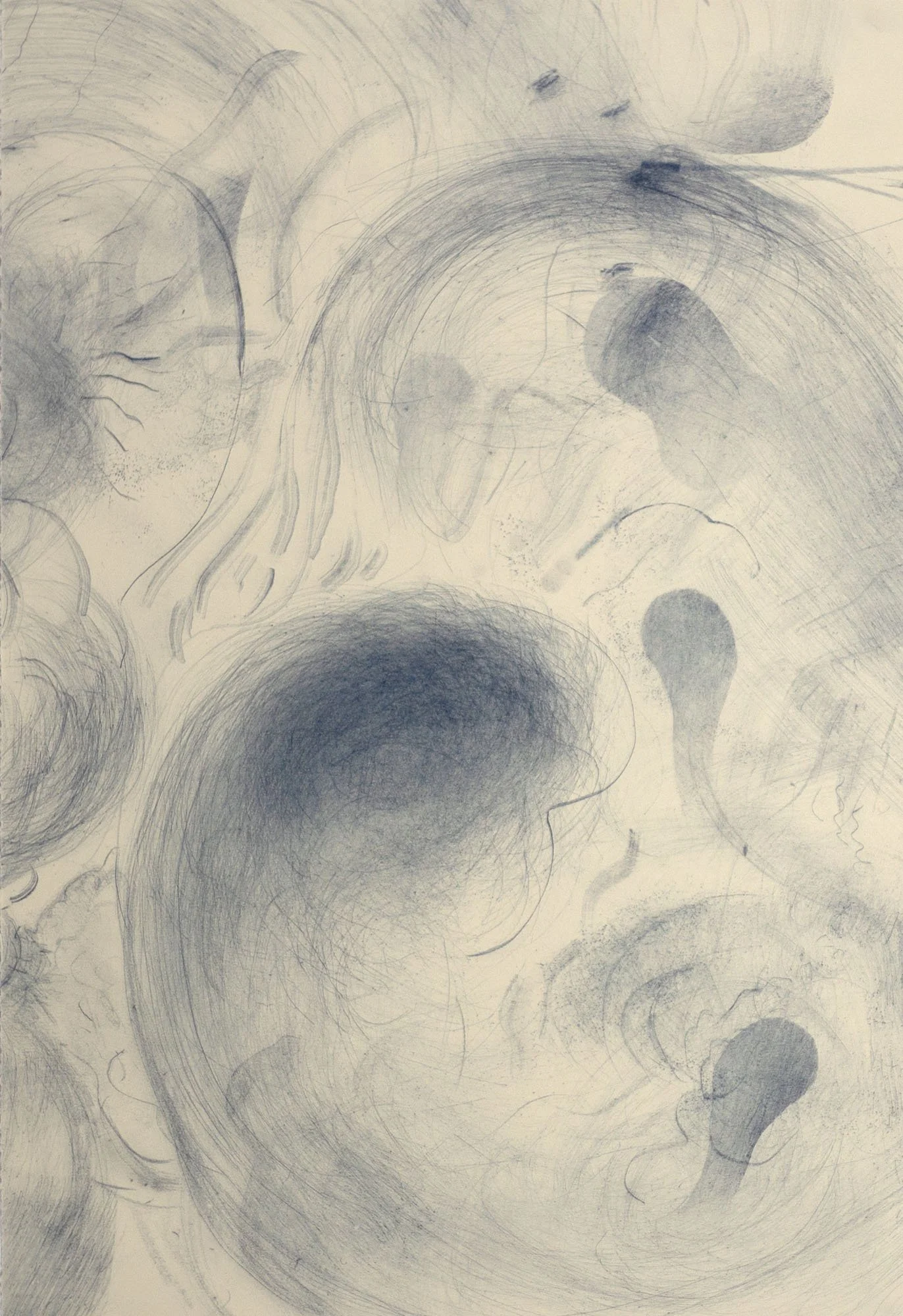 Transference 5_Carbon on Paper_56.5x37.5cm_$320_Emily-Sarah Boldeman.jpg