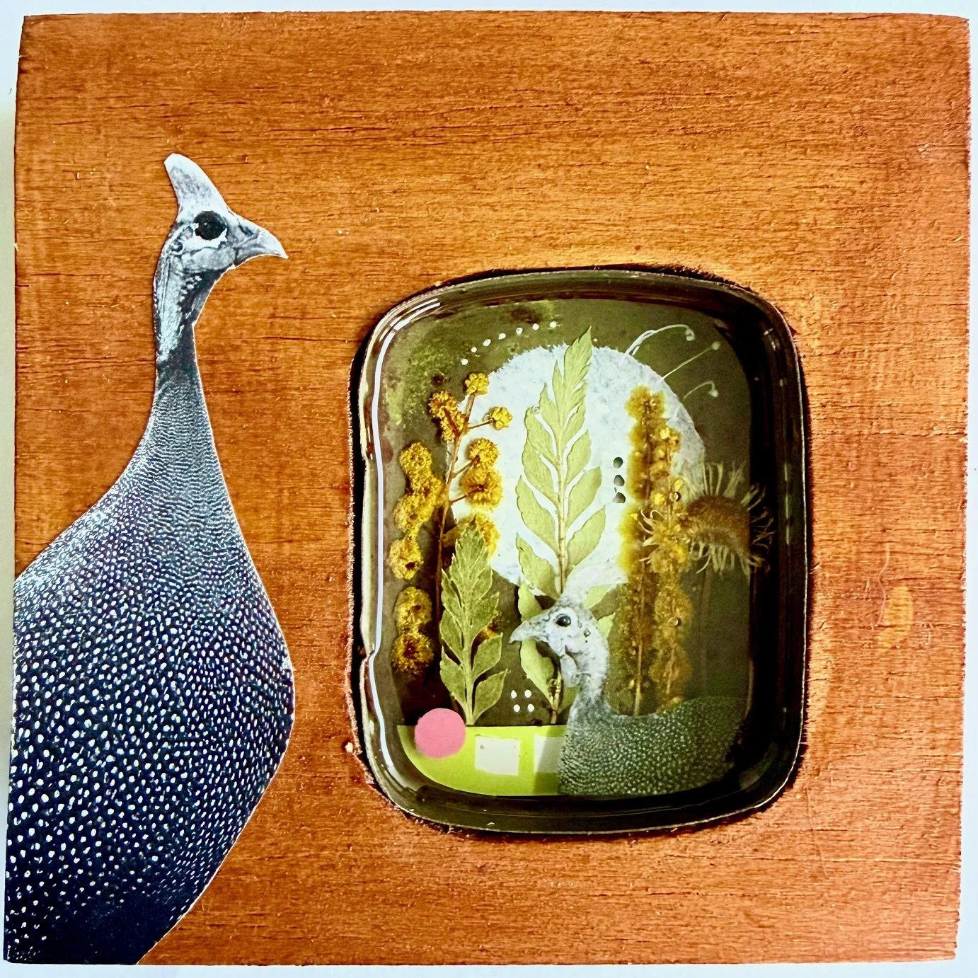Feathers, Flora and Fable 3_mixed media_$100_bridiemckelvey.jpeg