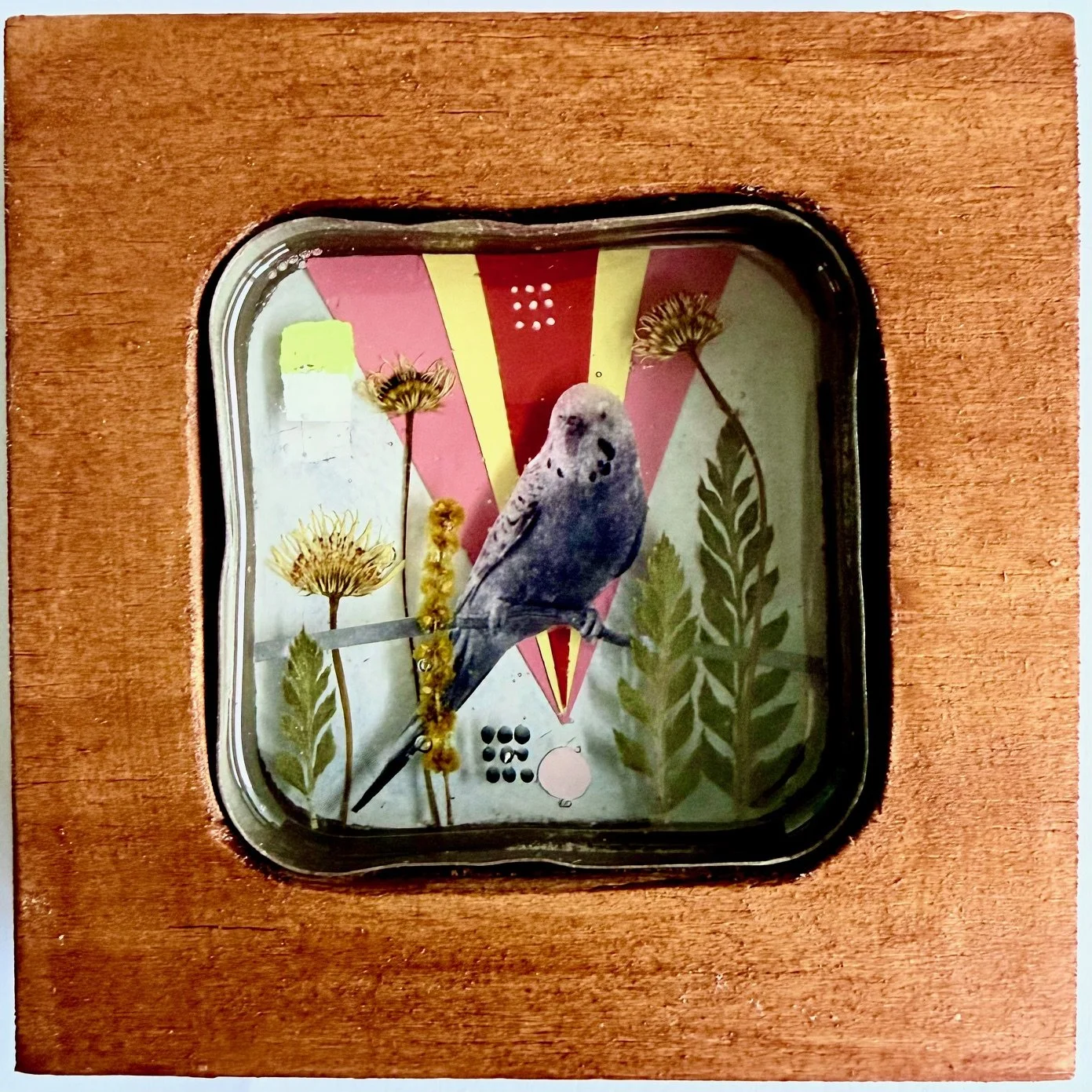 Feathers, Flora and Fable 2_mixed media_$100_bridiemckelvey.jpeg