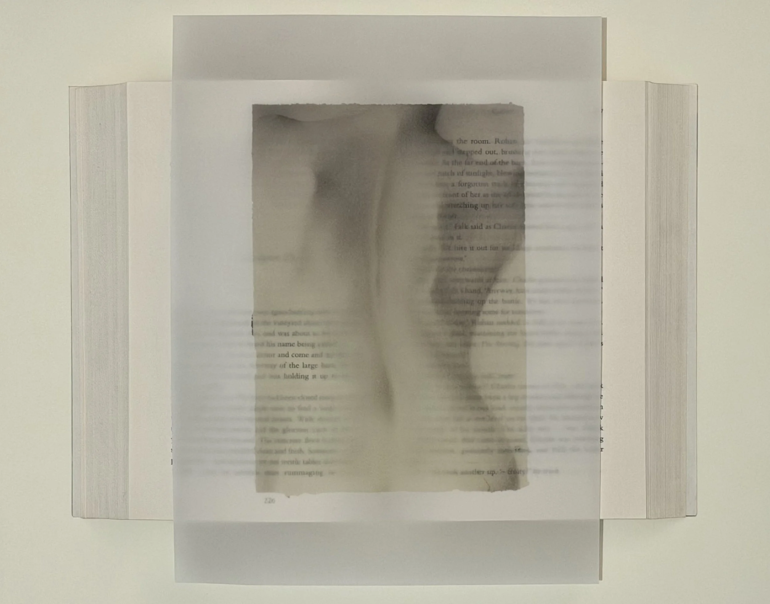 Spine_$50_Polyester film_22cm x 29cm_Rachel Eisenhauer.jpeg