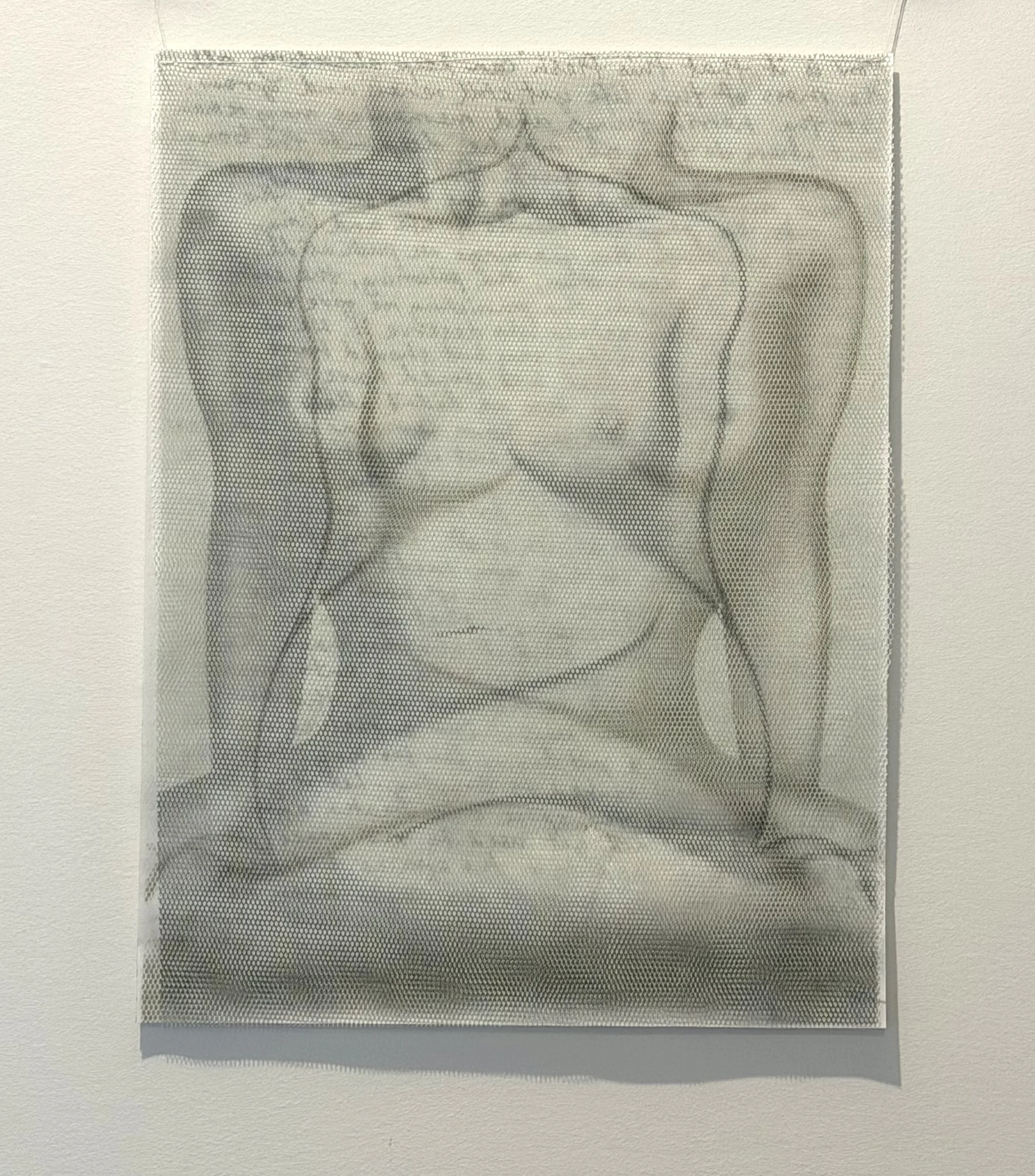 The Stories in our Bodies_$100_Textiles, paper, film_19cm x 25cm_Rachel Eisenhauer.jpeg