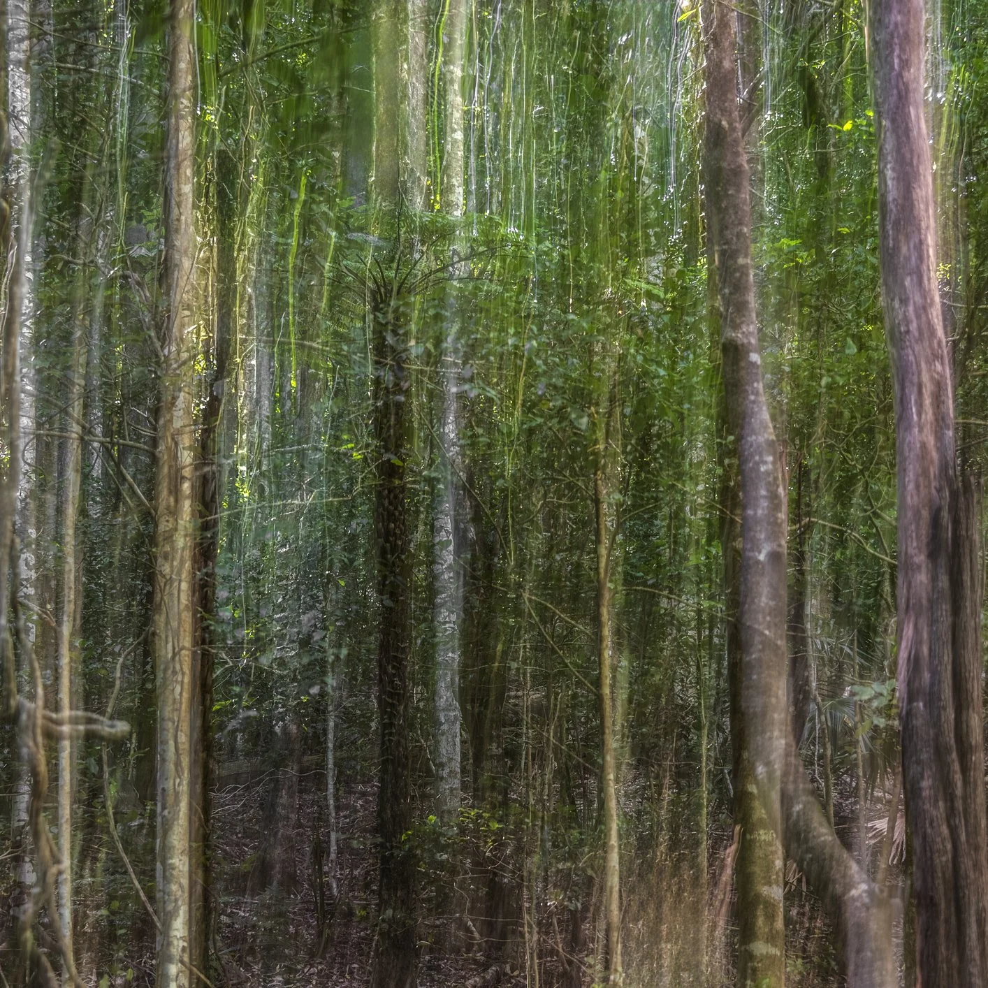 Beyond_Photography_$135_SueDowling.jpg