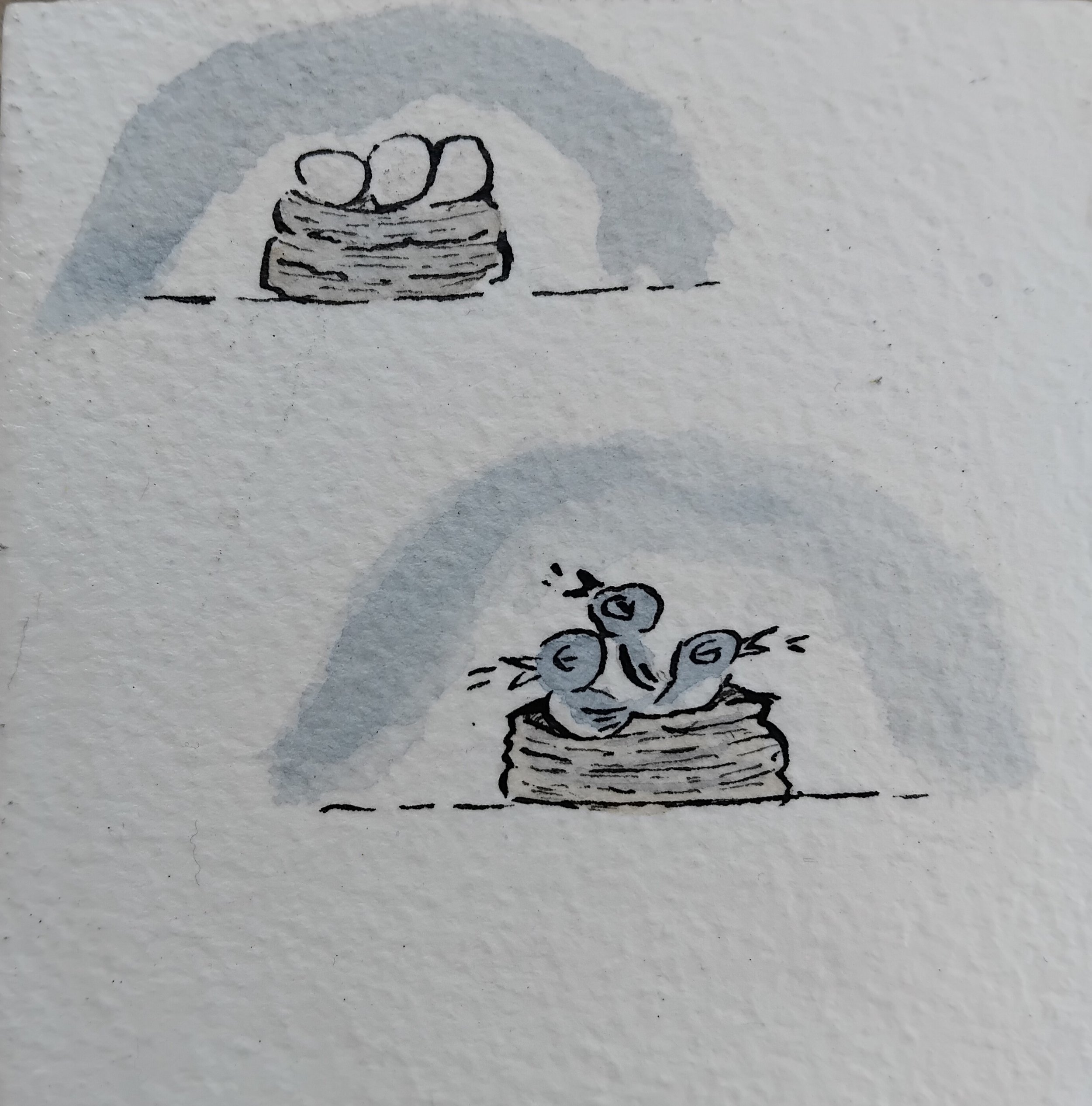 1000025825.jpg