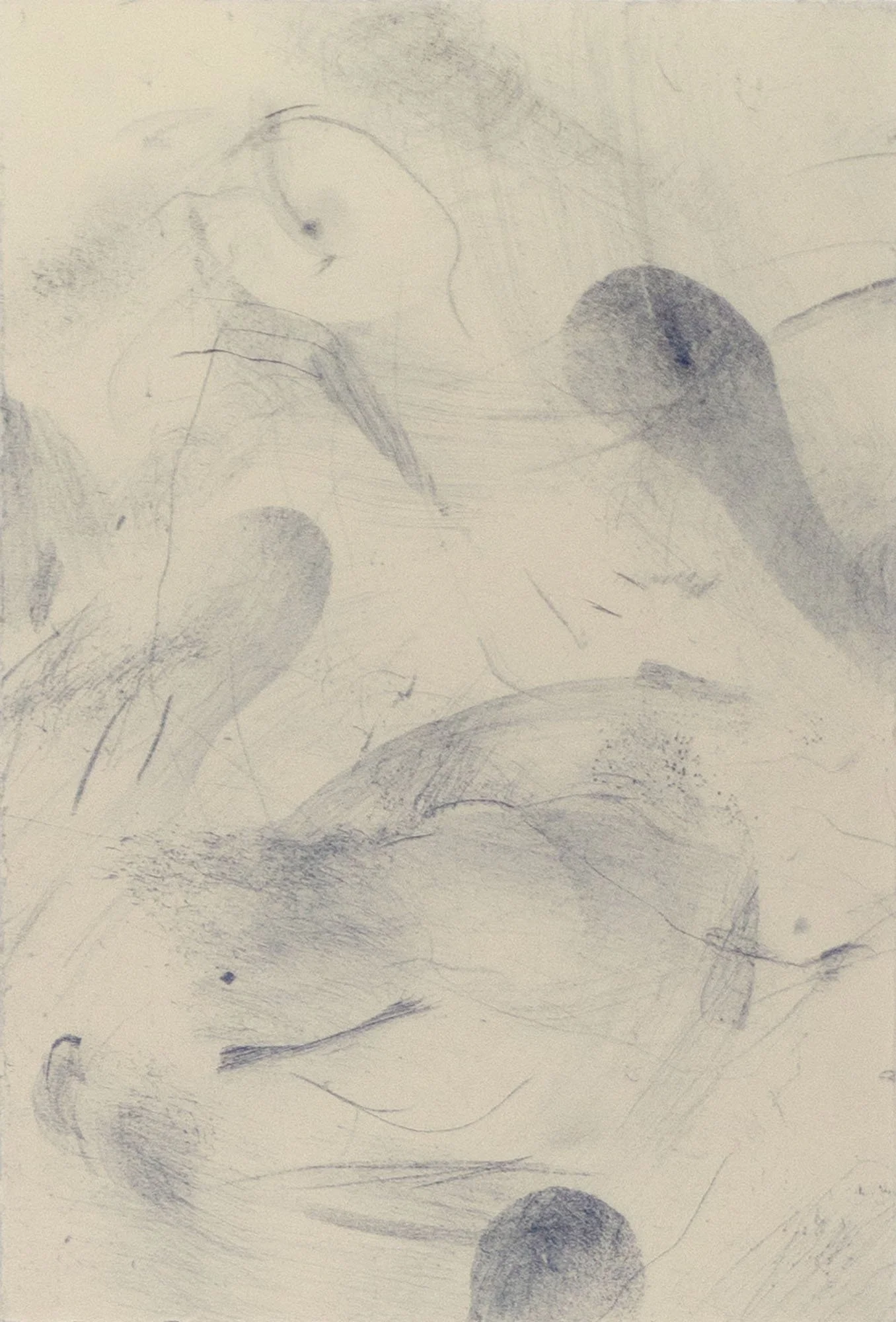 Transference 4_Carbon on Paper_28x19cm_$190_Emily-Sarah Boldeman.jpg