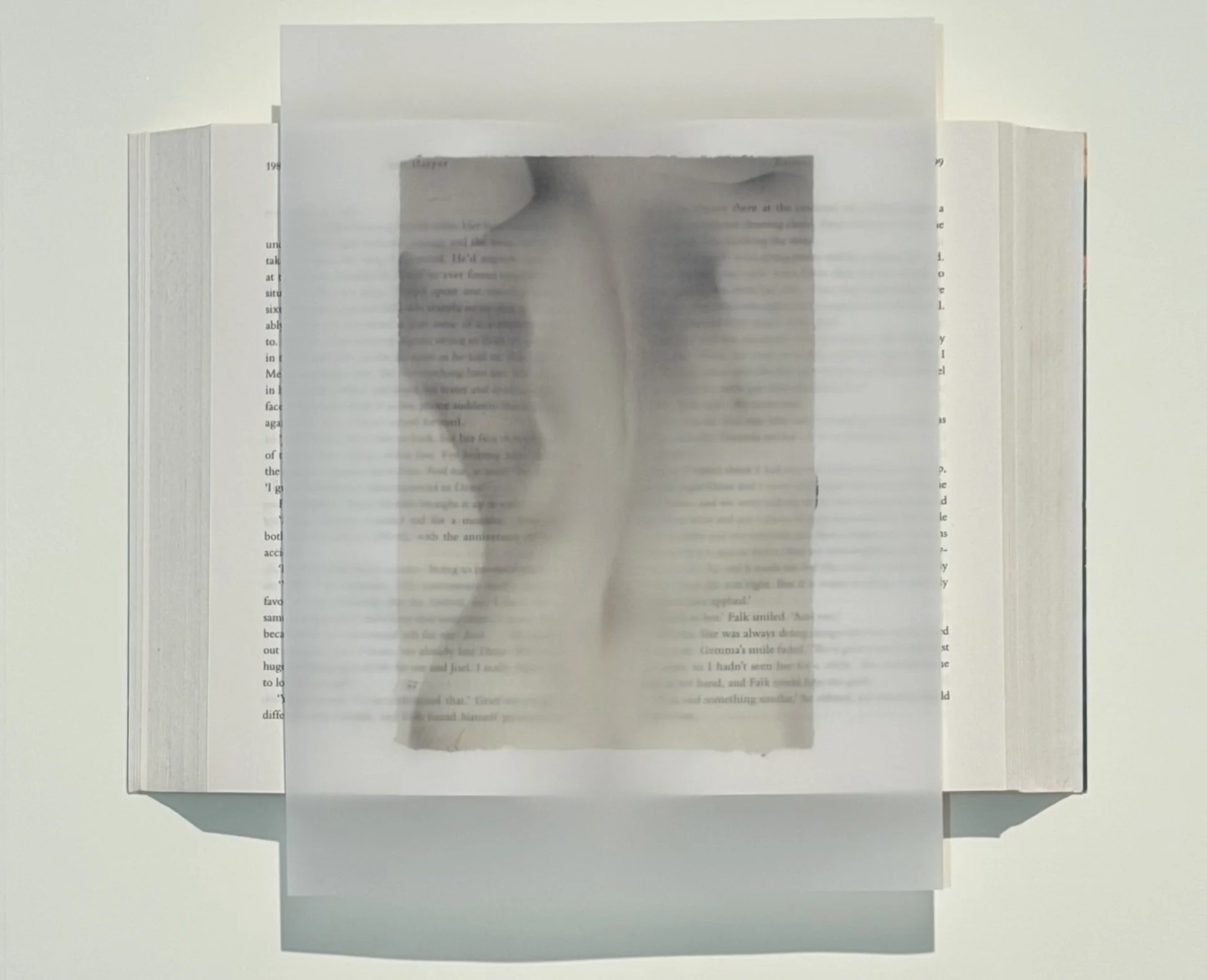 Spine (reverse side)_Rachel Eisenhauer (1).jpeg