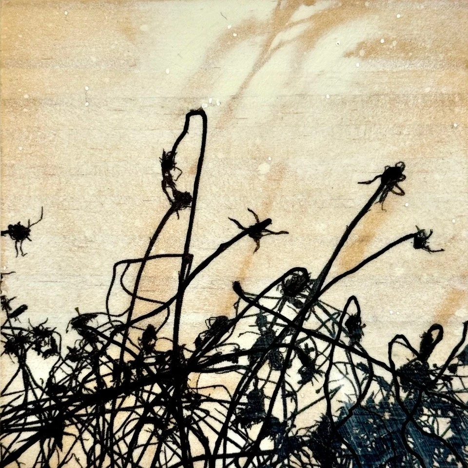 wildgrass2_mixedmediaonreclaimedwood_$80_KylianMartin.jpeg