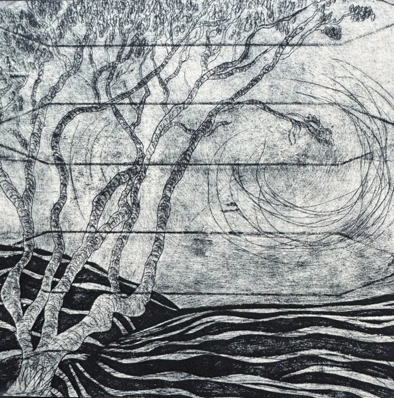 Zephyr_tetrapak print on board_$180_Jennifer Oishi.jpg