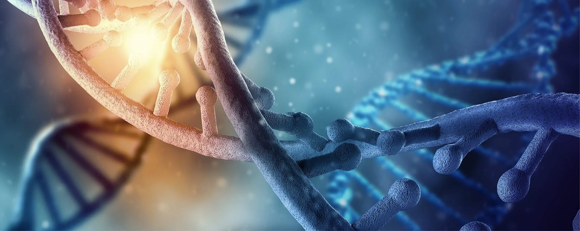 Theta Healing Basic DNA