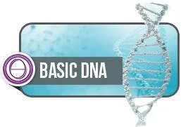 Theta Healing basic DNA