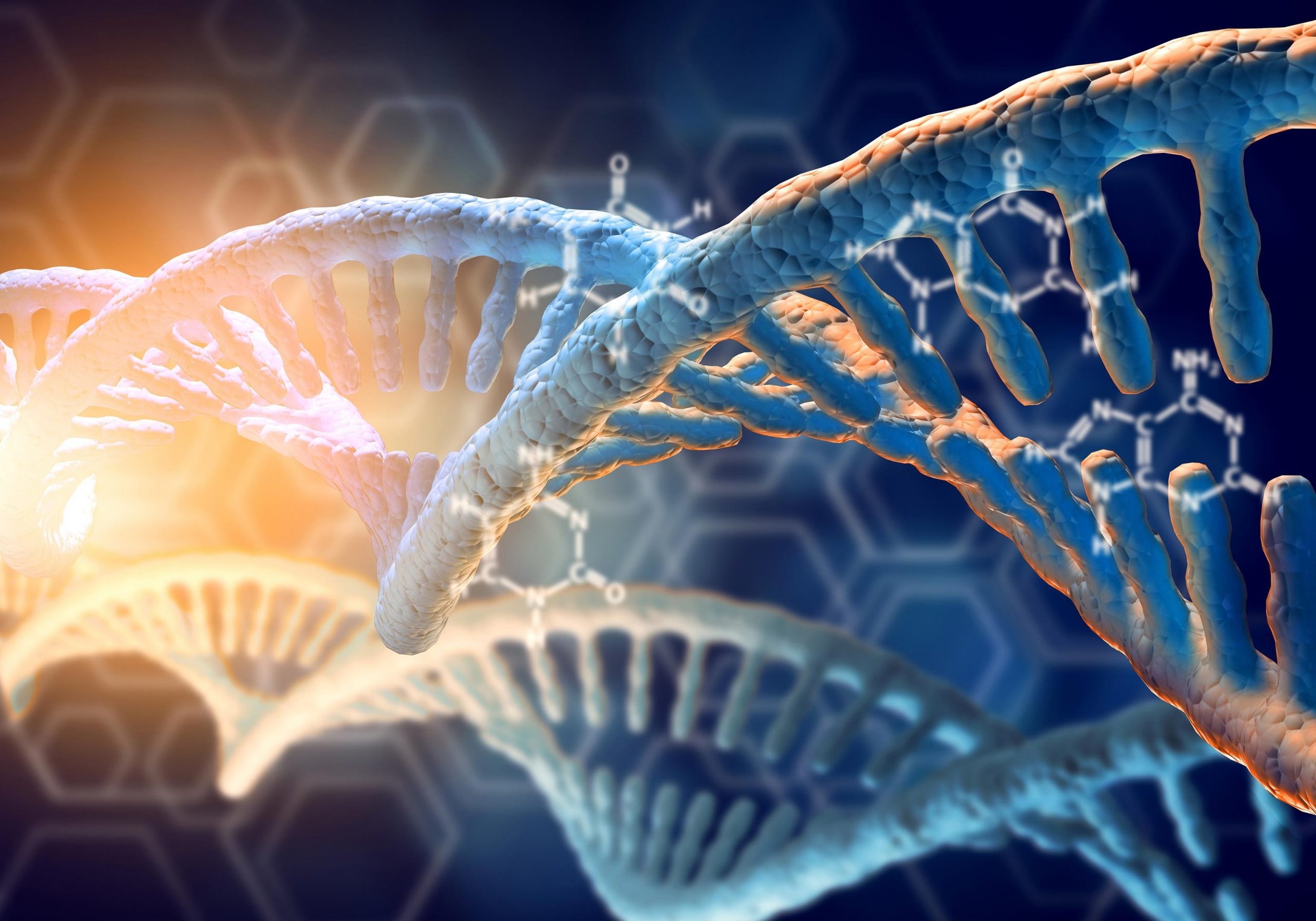 Basic DNA Online, England