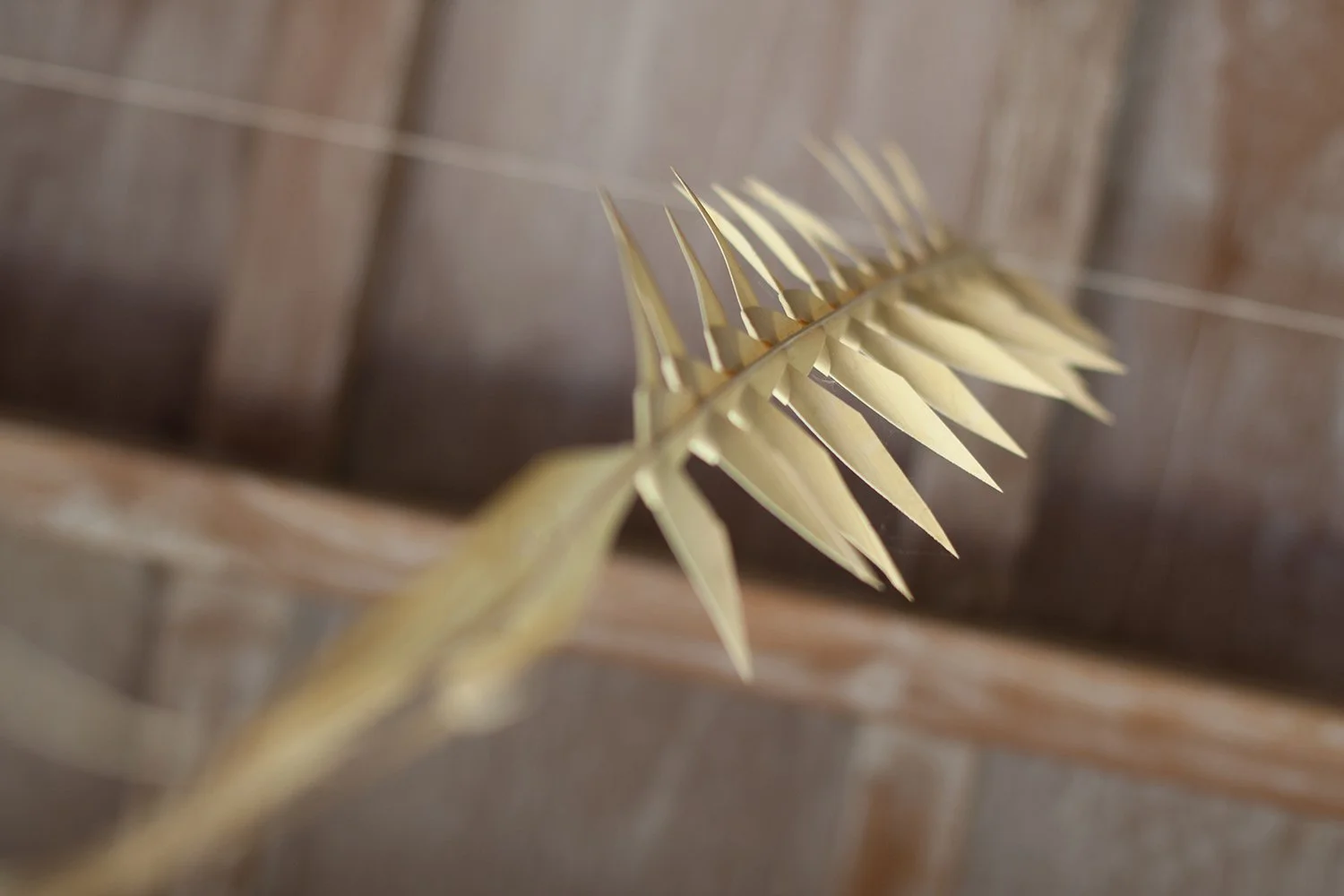Suki Zoe, weaving a golden palm leaf against a brown tiled background.