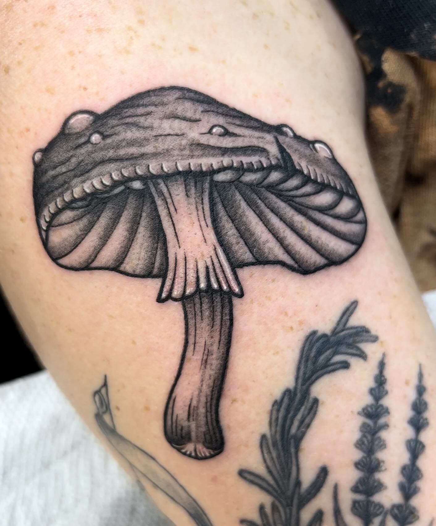 Dot-work Mushroom Flash 
Done by @island_ink345 

#nature #mushroom #mushroomtattoo #flashtattoo #tattoo #shroomtattoo #cayman #mushroomflashtattoo #dotworkmushroom  #neotraditional #blackwork #fyp #explore #tattoosubmission #tattooart #caymantattoos