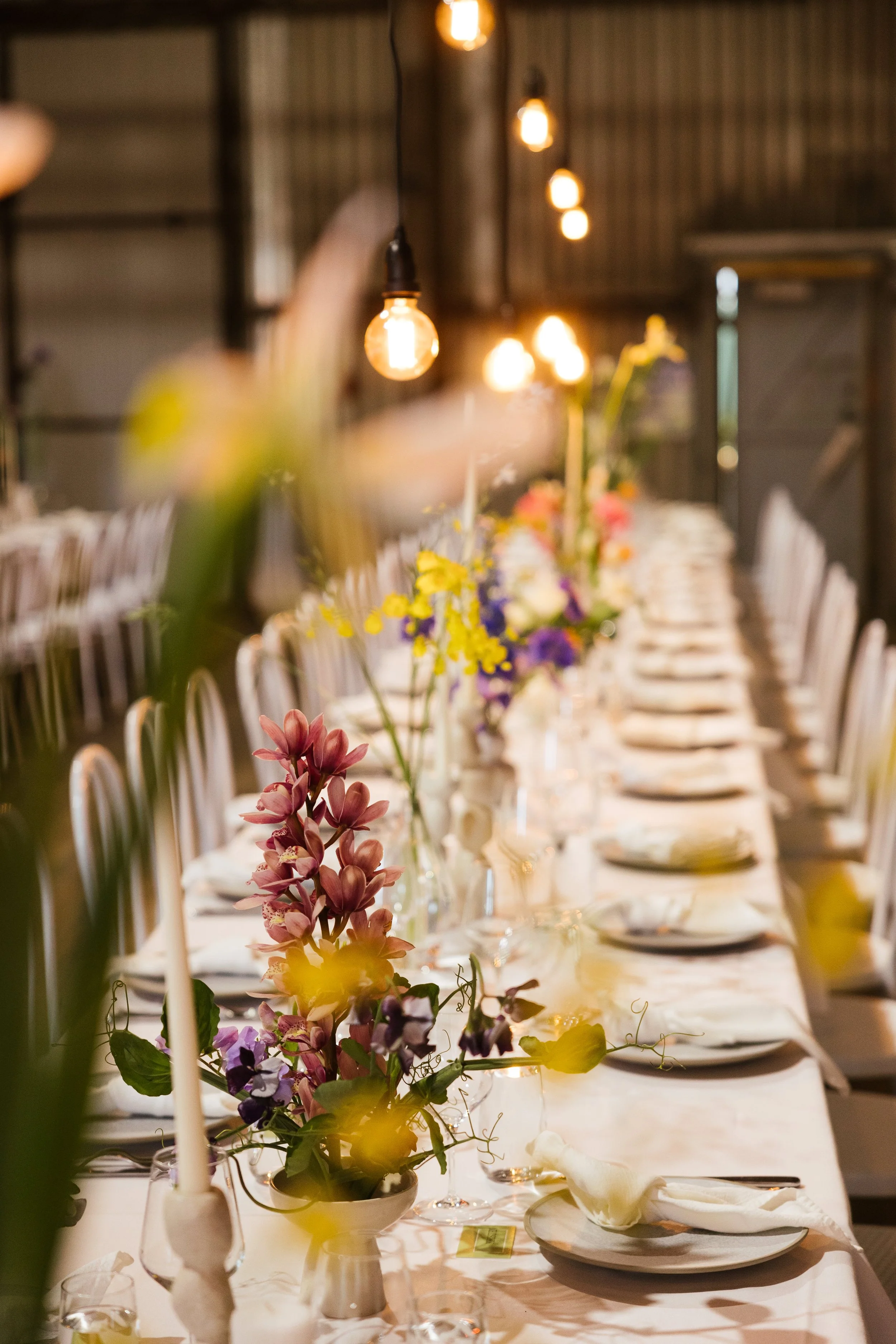 NinaHamilton-TasmanianWeddingPhotographer-Georgia+Jack-SpringBayMill-593.jpg