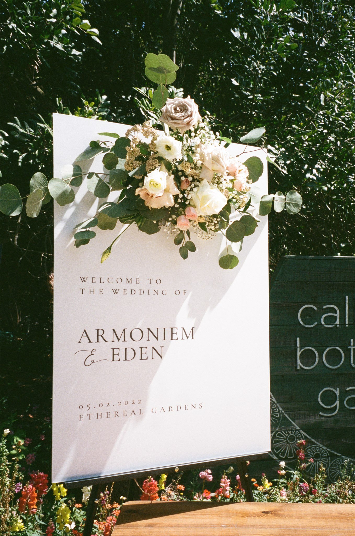 AllisonStoddard_EdenMoniFilm-19.jpg