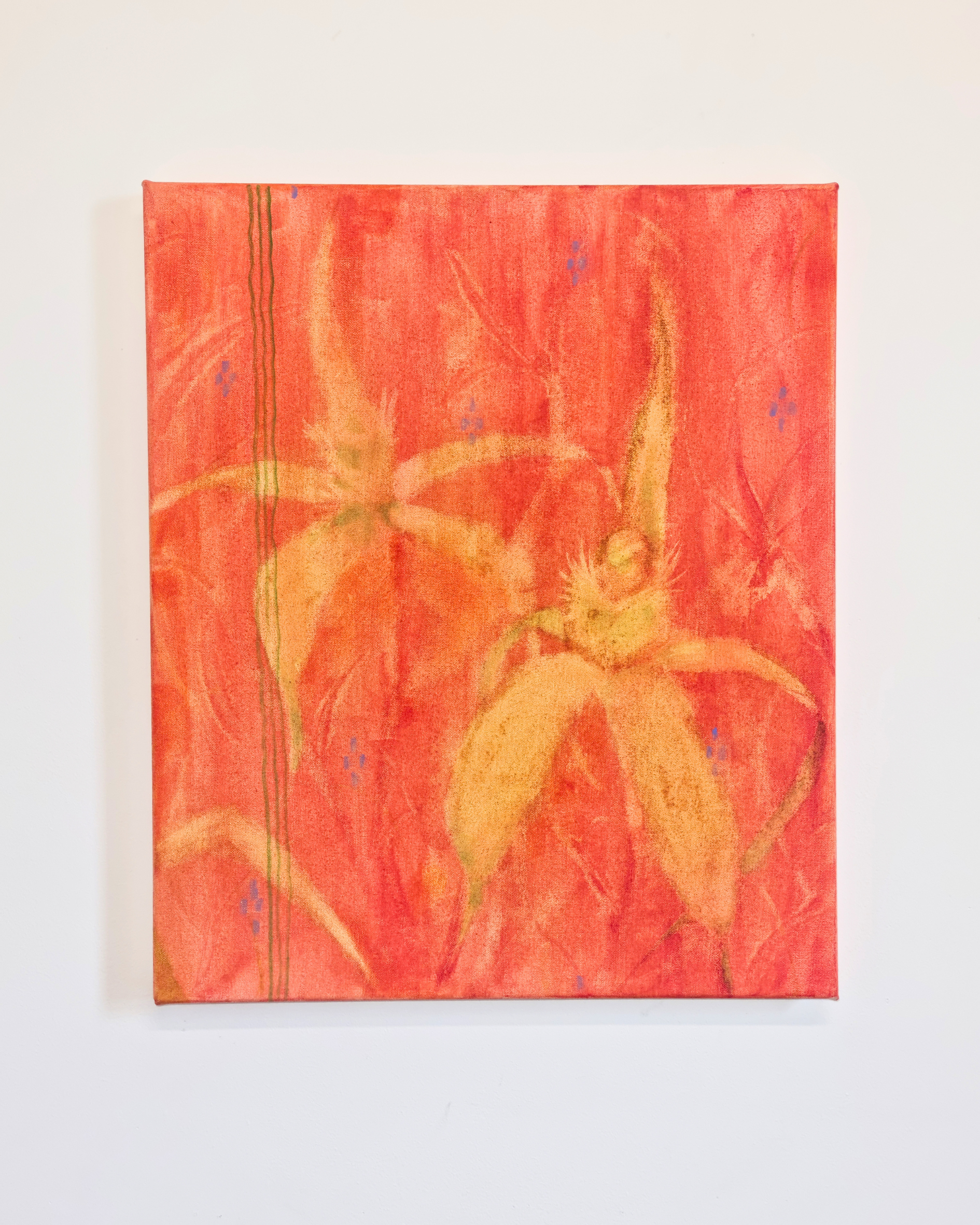 Spider Orchid, 2026 [available]