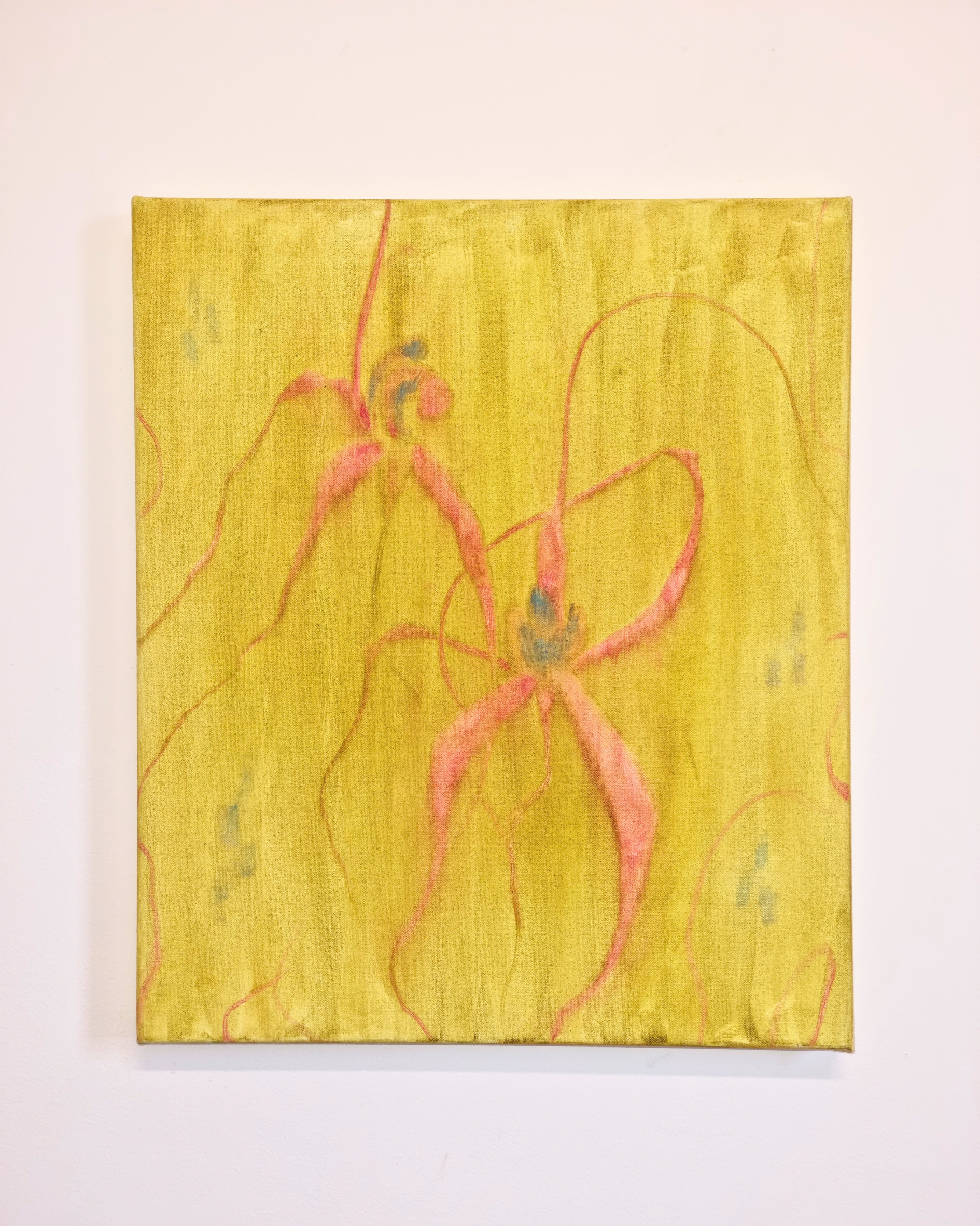 Spider Orchid as Organza Weave, 2026