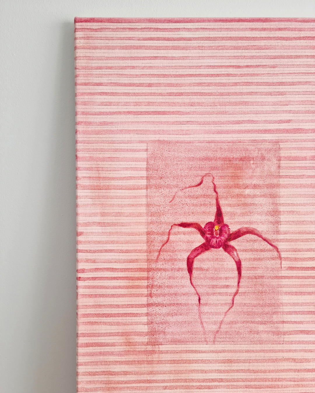 Spider Orchid, 2026 [available]
