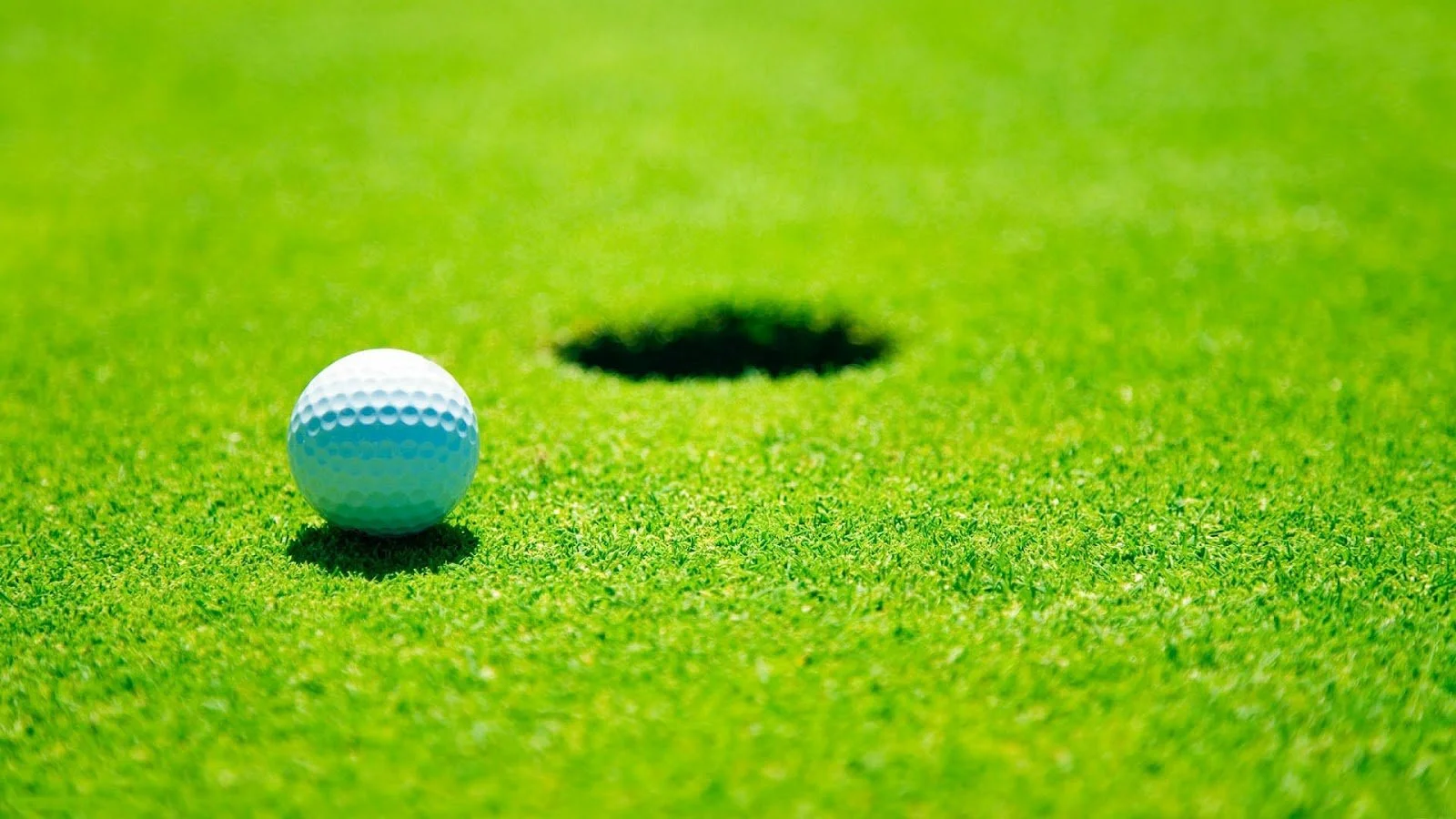 MPYM - Mini Golf Match