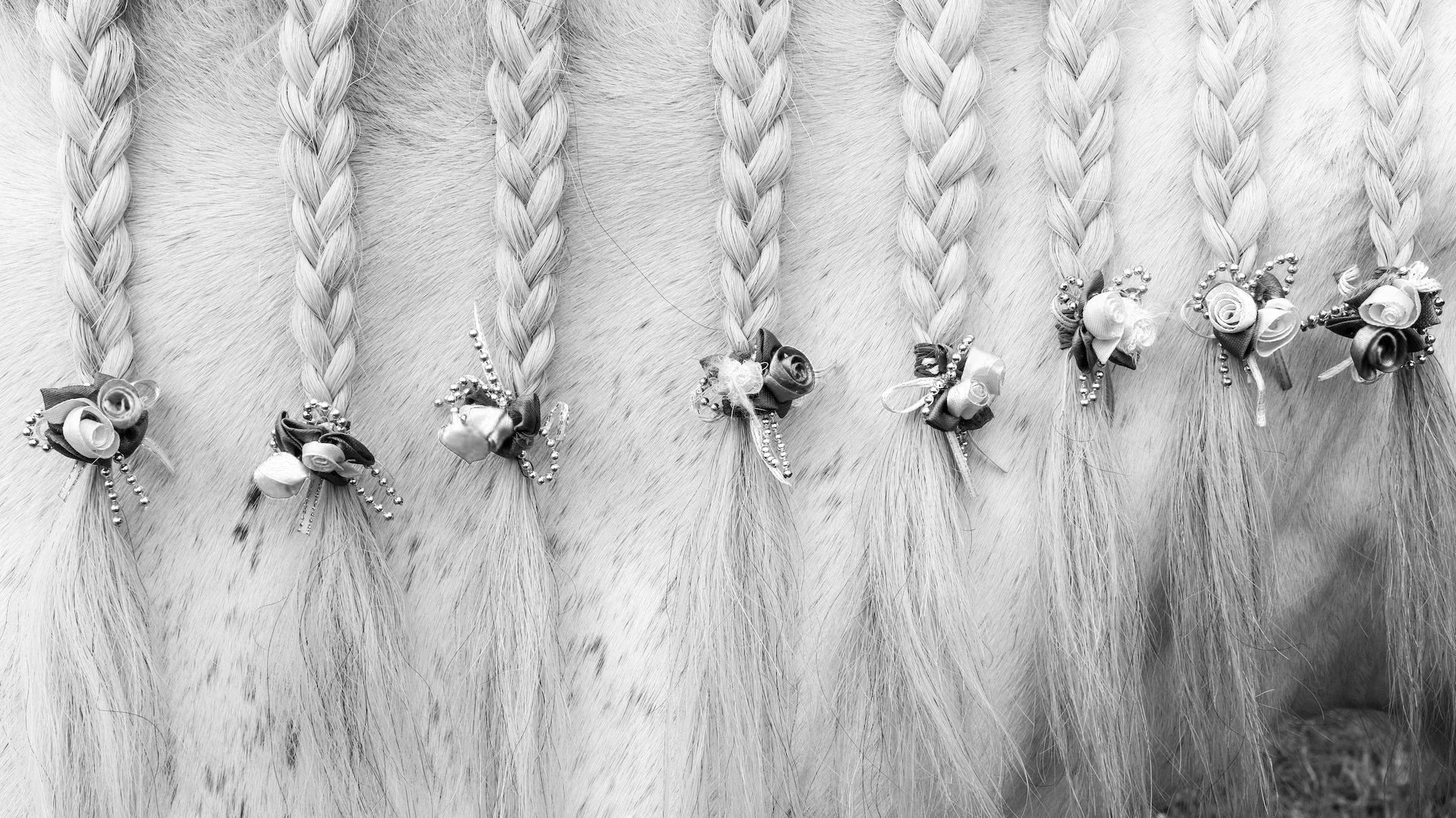 iStock-1158162320+copy.jpg