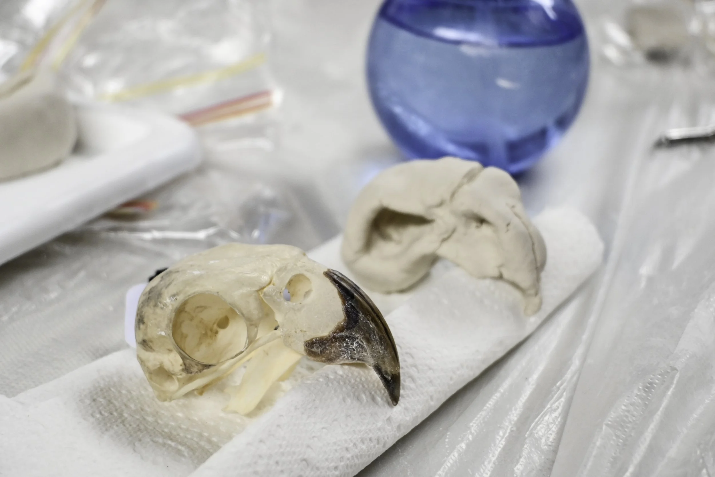 Christina Lowry _ PARKER Projects FIsh Lane Town Square Nov 2025 - Photos Courtsey Emily Parker-15.jpg