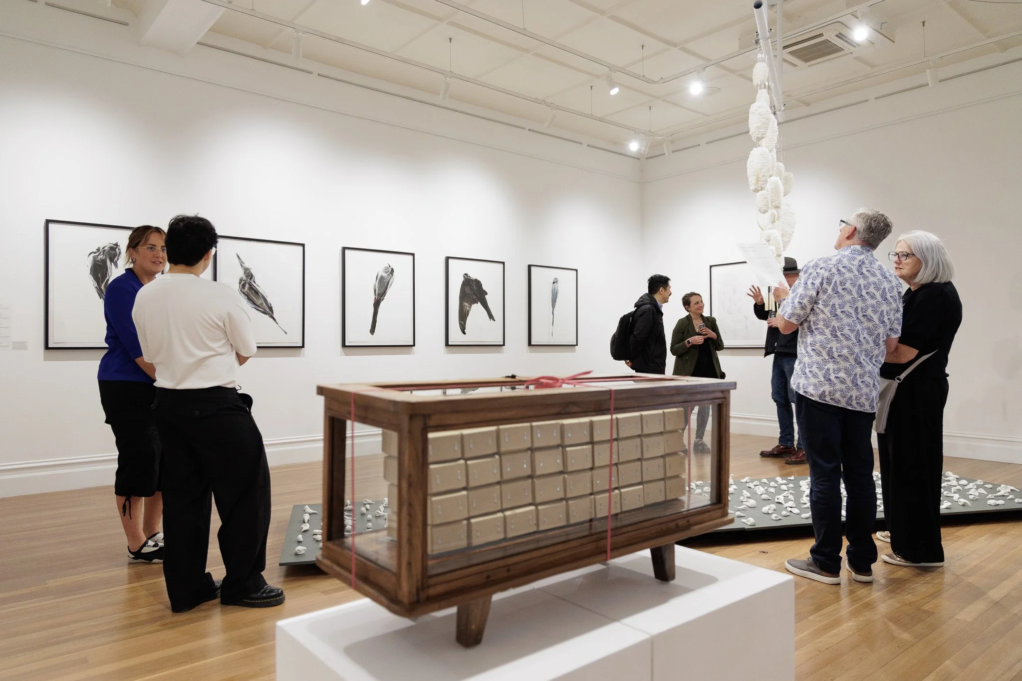 Kingston Arts Jan 2026 (Low Res)-60.jpg