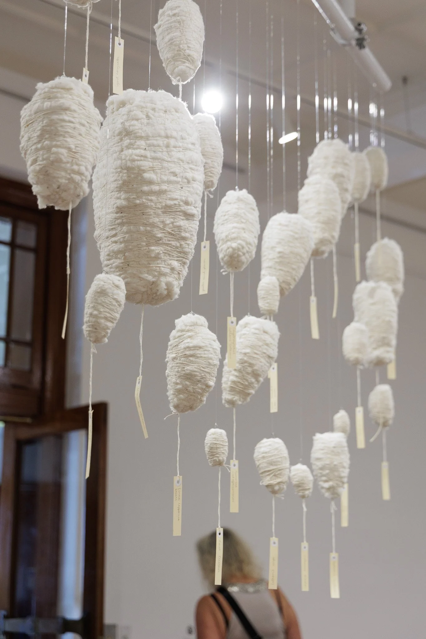 Kingston Arts Jan 2026 (Low Res)-19.jpg