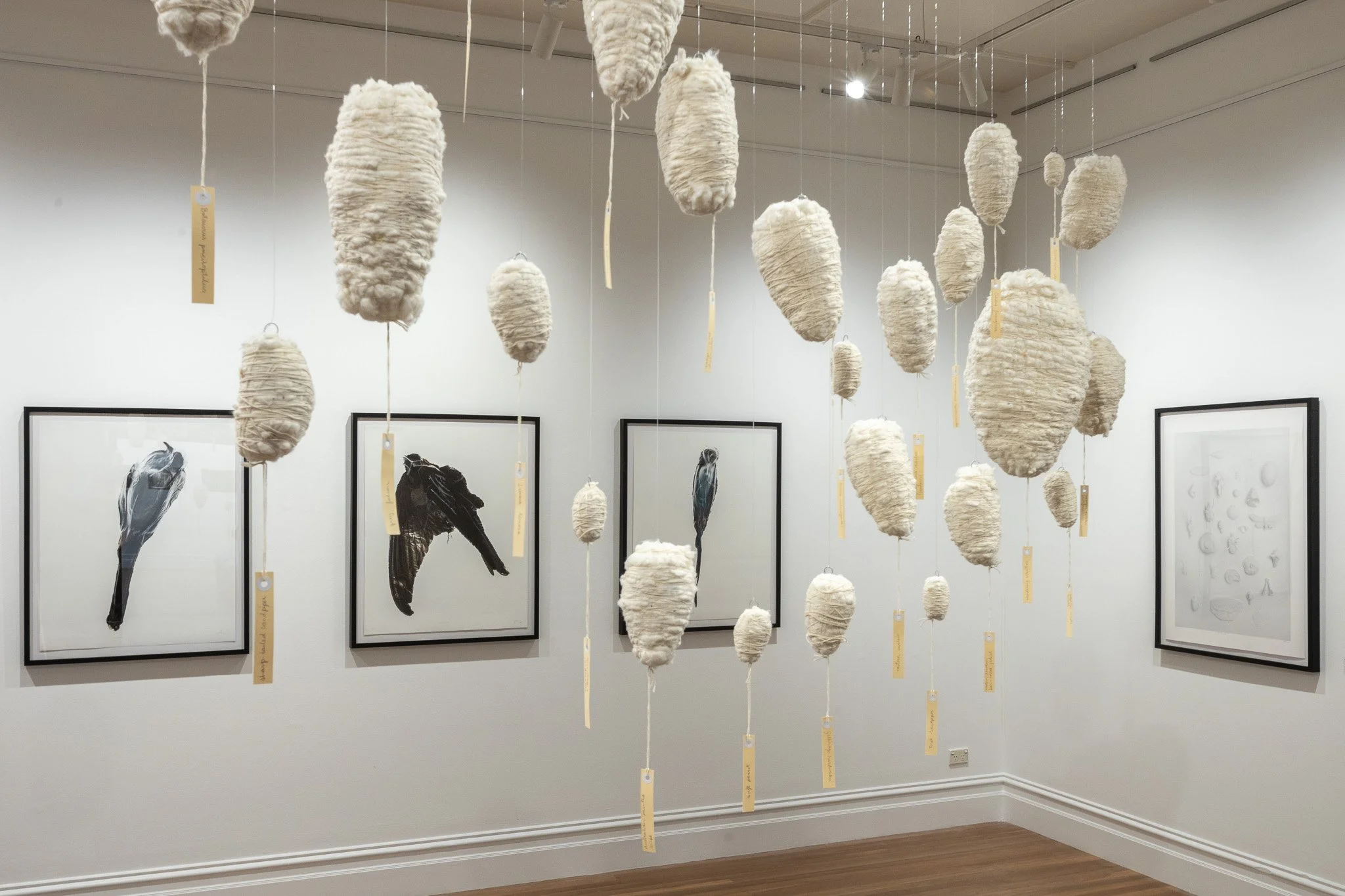 Kingston Arts Jan 2026 Installation (Low Res)-22.jpg