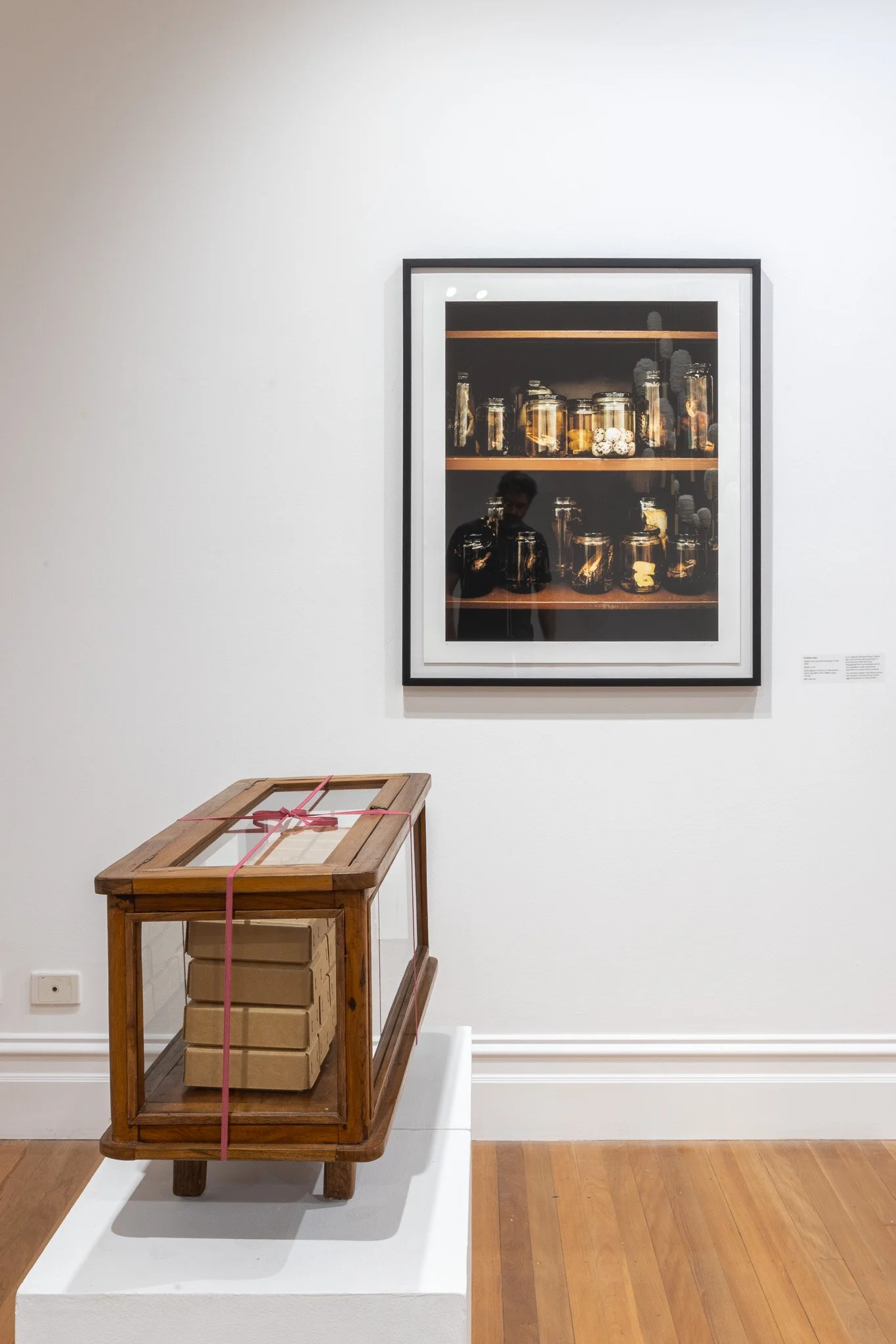 Kingston Arts Jan 2026 Installation (Low Res)-17.jpg