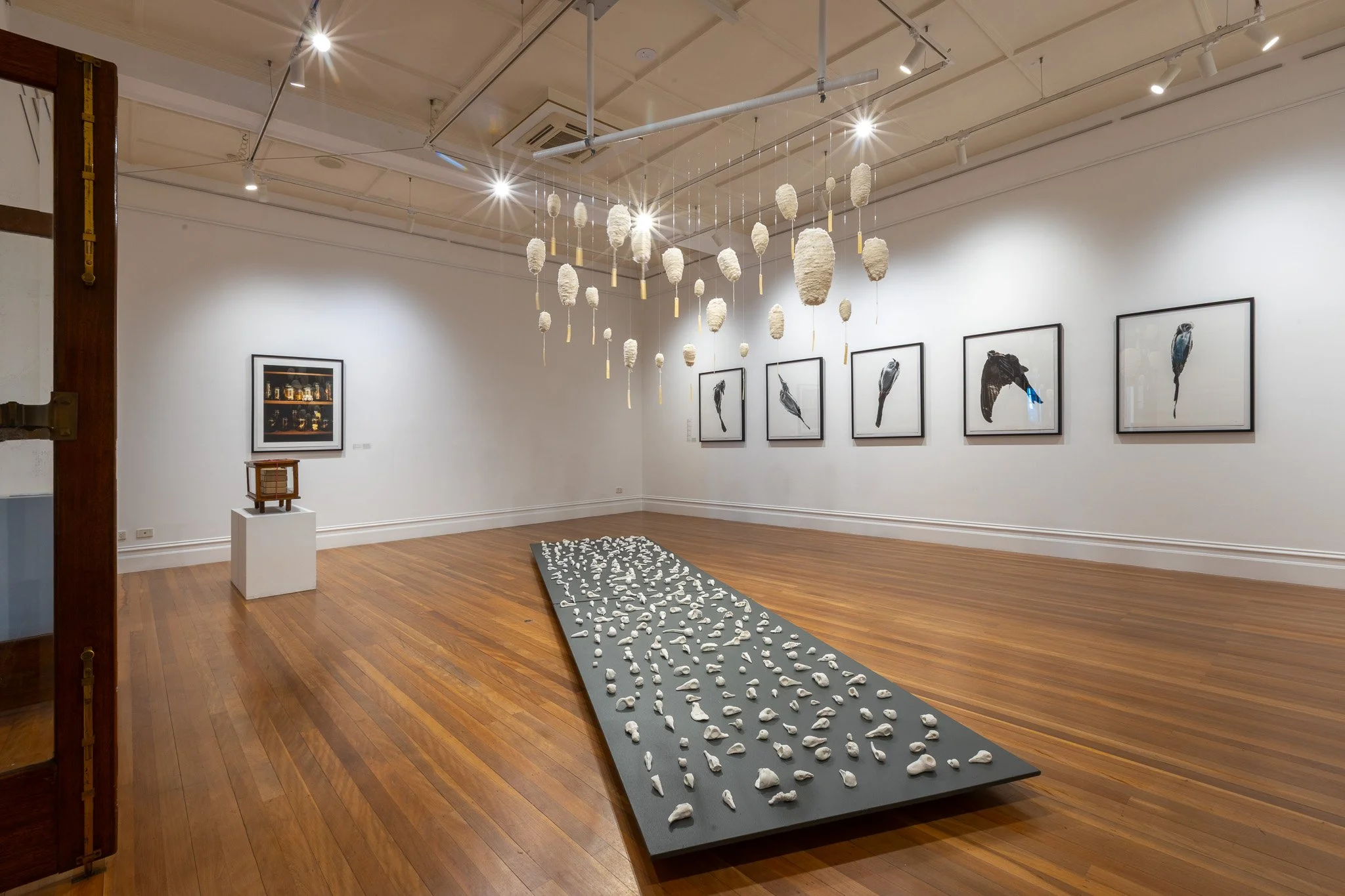 Kingston Arts Jan 2026 Installation (Low Res)-13.jpg