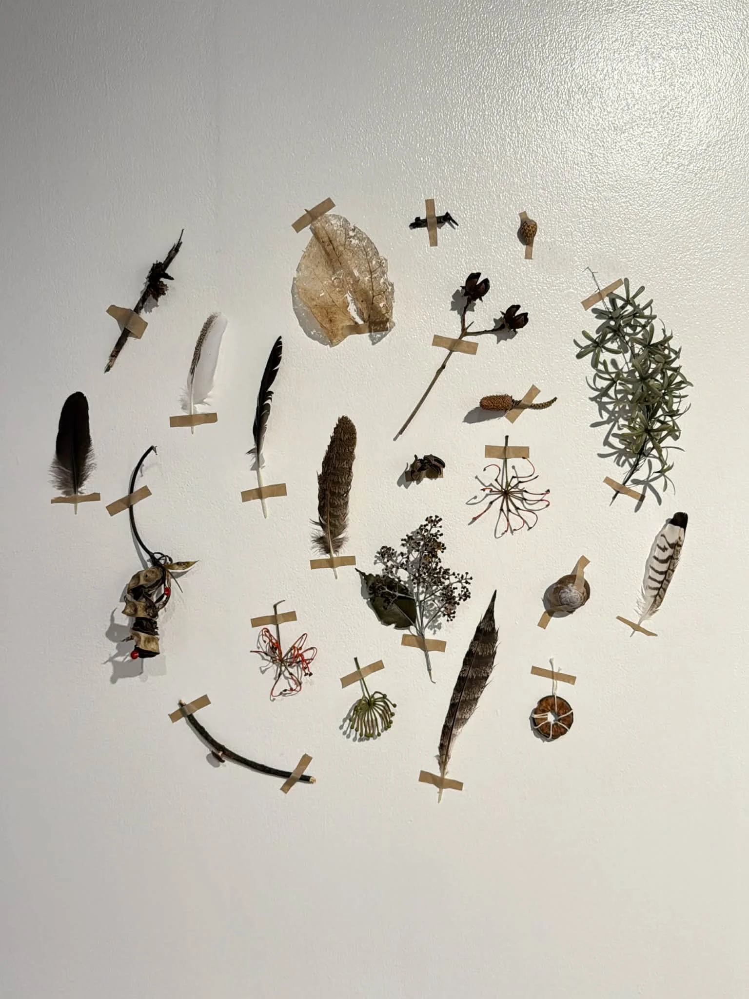 21ad067d-fa39-4dbb-8d69-d31cc2762199 (1).jpg