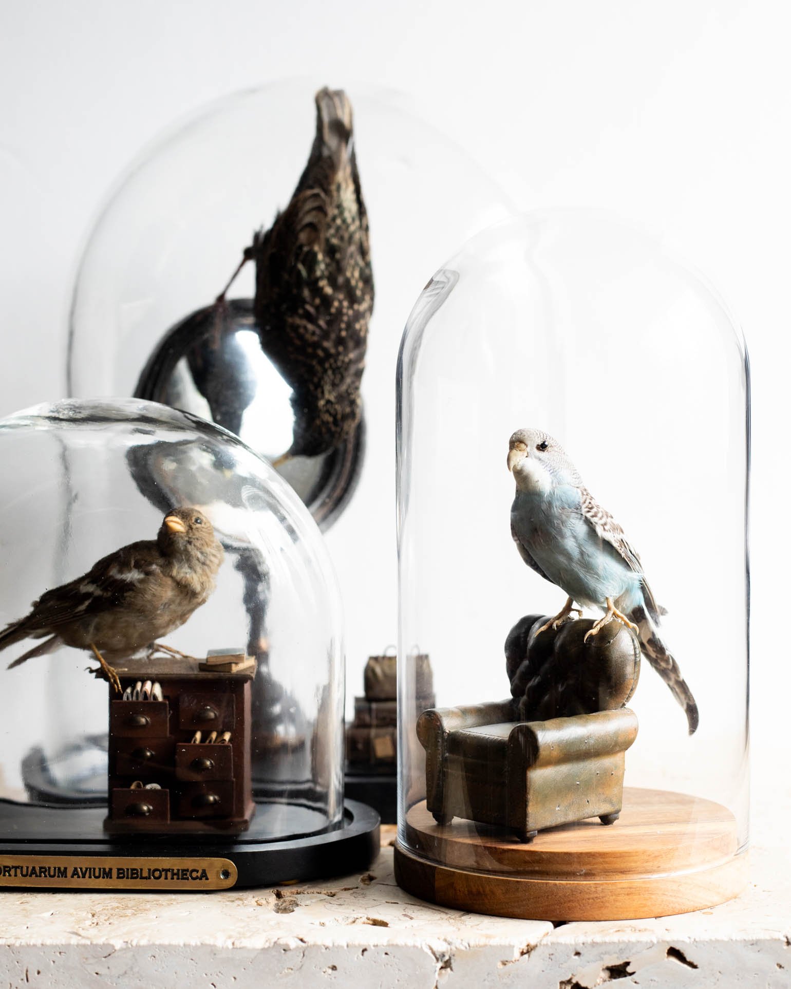Christina Lowry, three bird cloches.jpg