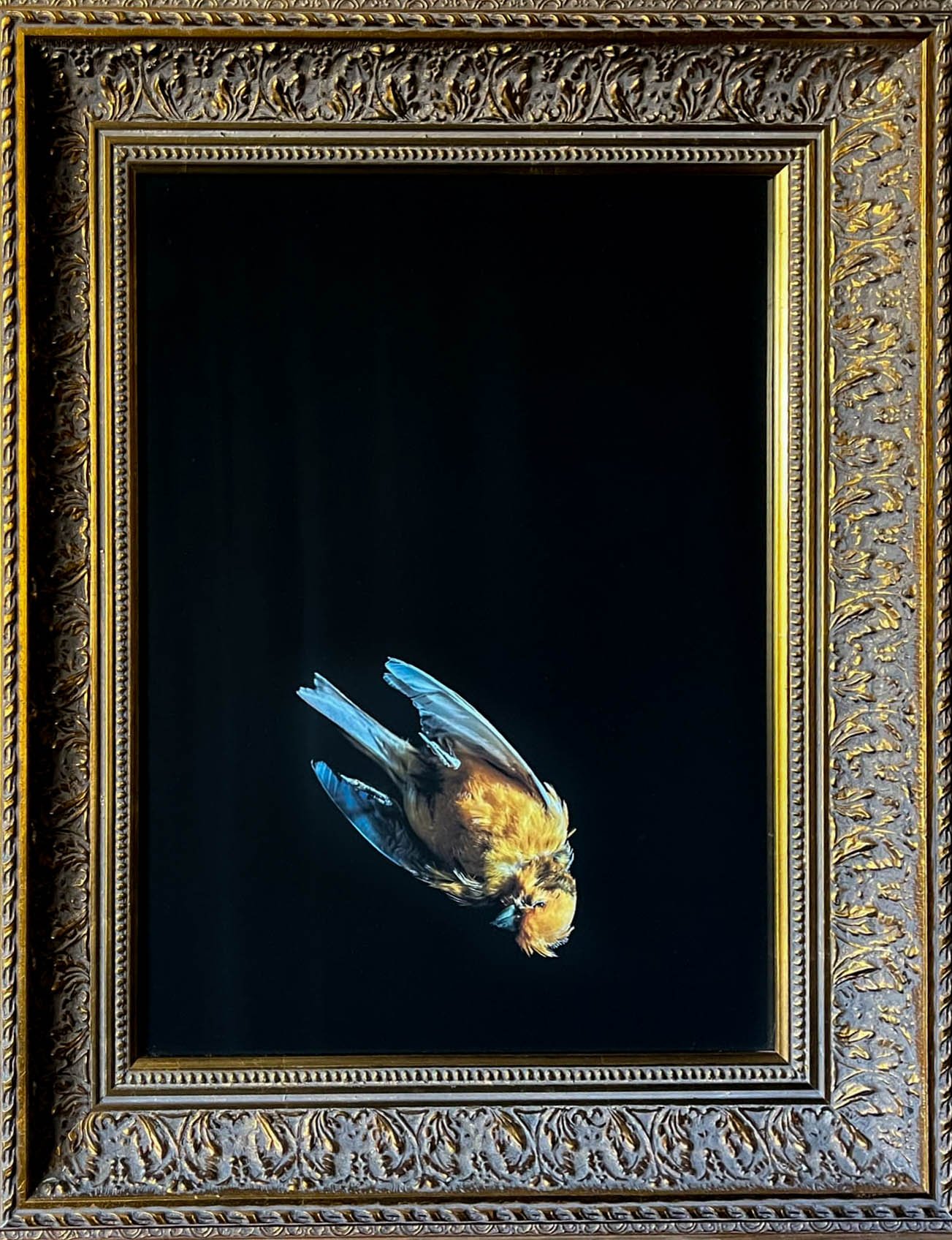 MONITUS framed.jpg